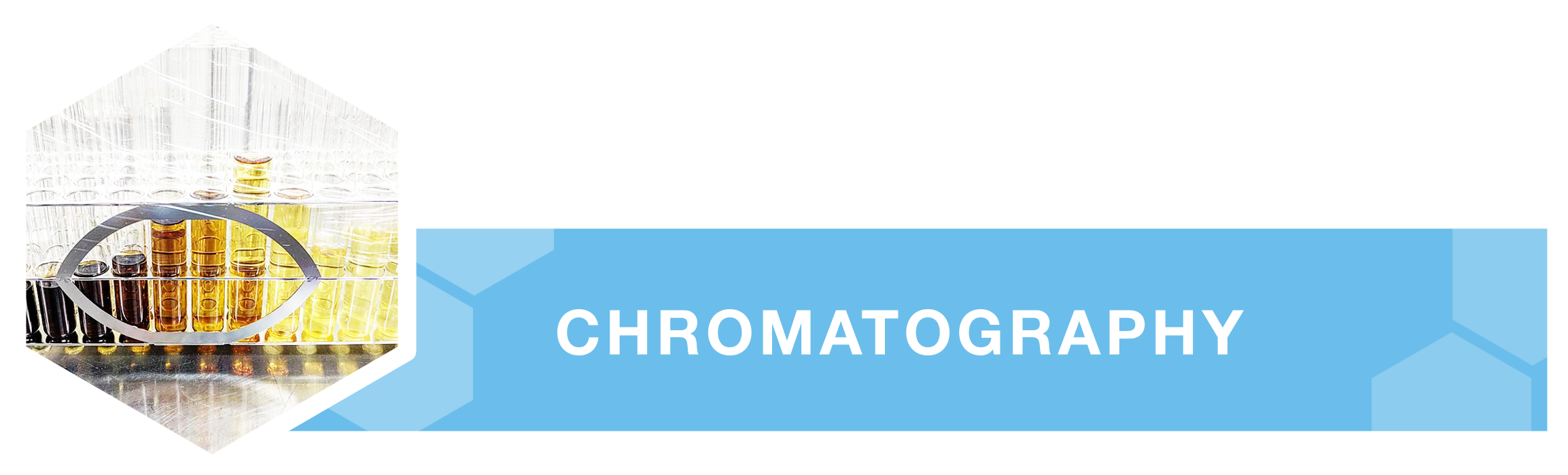 chromatography.png