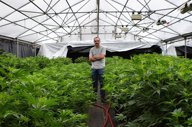 Our greenhouse partner, Hardy Boy Farms, has devoted up to 300,000 square feet of its facility to grow hemp for our genetics research. Here’s ebbu’s Director of Genetic Research, Rob Roscow, soaking it all in. If you haven’t already, please up-vote our 2019 #SXSW panel proposal on cannabis genetic research! Link in bio. .
.
#cannabis #genetics #science #research #hemp #hempisthefuture #geneediting #poweredbyebbu #greenhouse