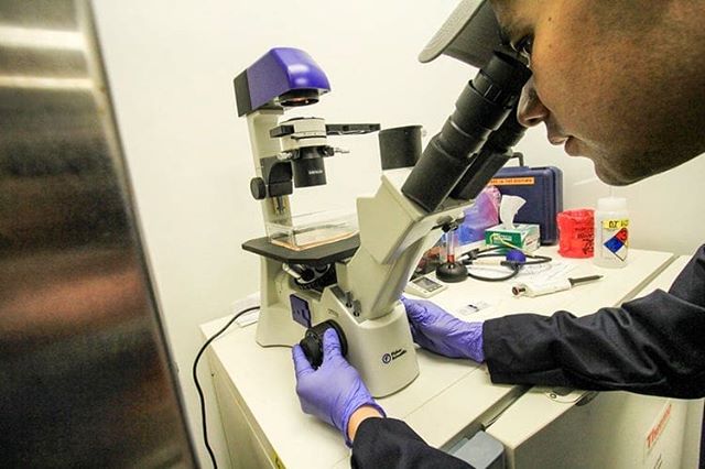 Exciting scientific breakthroughs with cannabis hold great potential in medical applications, such as targeted treatment of muscle spasticity and chronic pain. What does the landscape of cannabis research look like right now? Check out our blog to learn what ebbu’s cannabis science team is up to! (link in bio)
.
#cannabis #biotech #research #chromatography #cannabinoids #chronicpain #mmj