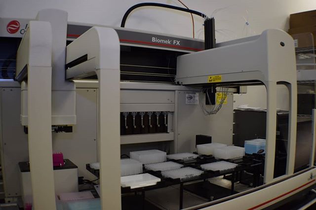 Happy Thursday from our liquid handling robot! This fine machine makes dilution plates for use in cell assays. It’s an important part of ebbu’s study of the reactivity of cannabinoid and terpene formulations on the cellular level. 📸: Jami Carney .
#cannabis #inthelab #poweredbyebbu #cannabinoids #terpenes