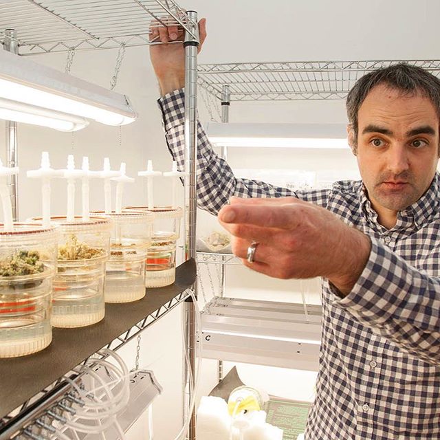 “Each of these little green dots is potentially a plant. No one else is doing what you’re seeing,” Rob Roscow, ebbu’s Director of Genetic Research, tells Cannabis Now. Read more about ebbu’s tissue-culture project and genetic editing of #cannabis at link in bio. ✨🍃Photos by Dan Curtis for Cannabis Now. •
•
•
•
#poweredbyebbu #cannabis #colorado #scienceofcannabis