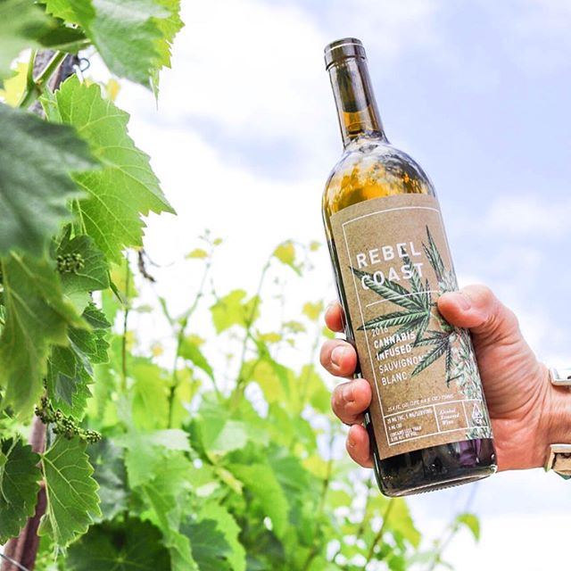 Clever chemistry: ebbu’s cutting edge #cannabinoid science and beverage partnership with Rebel Coast Winery were featured in The Economist. Read the details at our link in bio. ✨ #poweredbyebbu #wine #thcwine