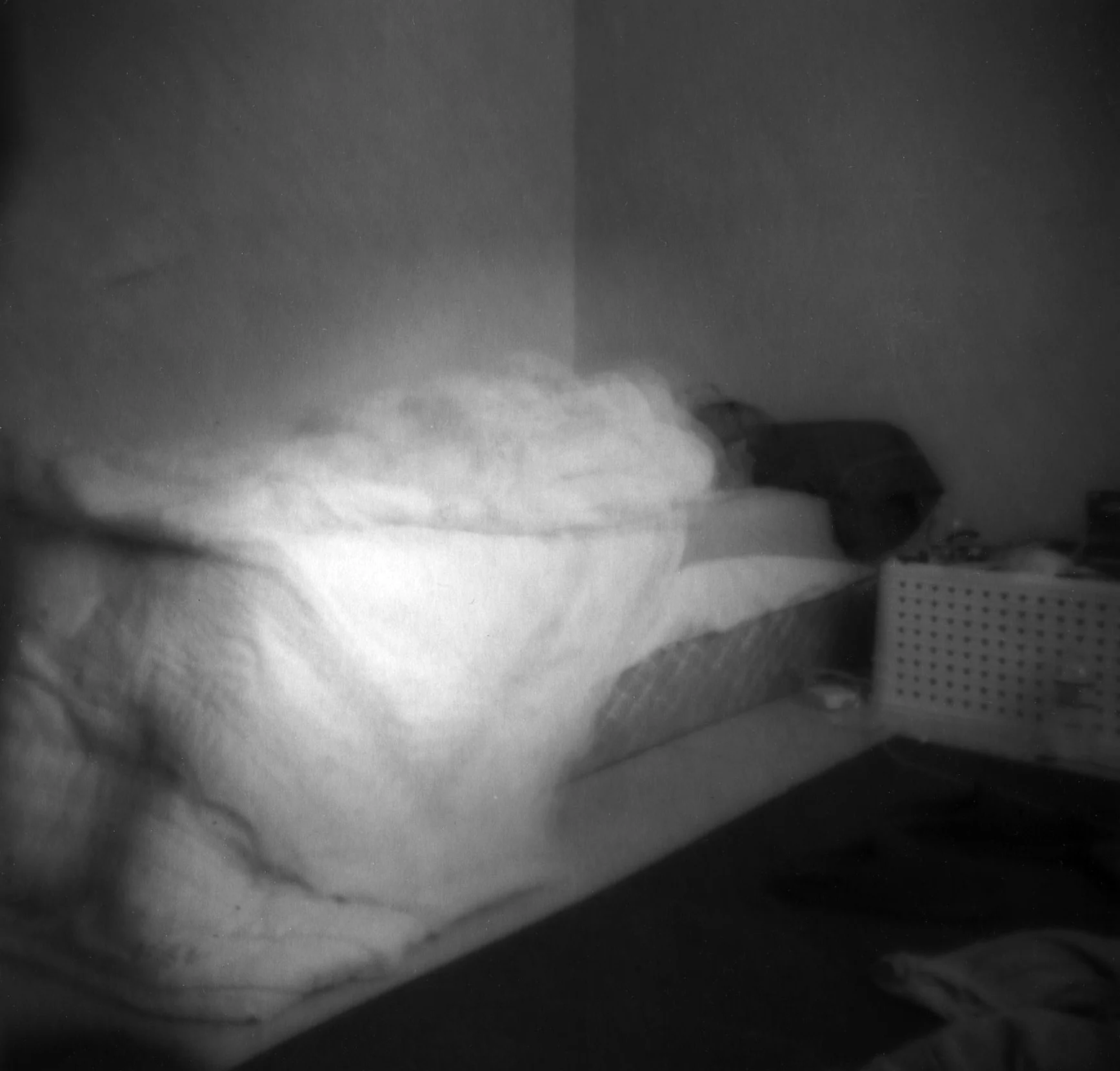 img006.jpg