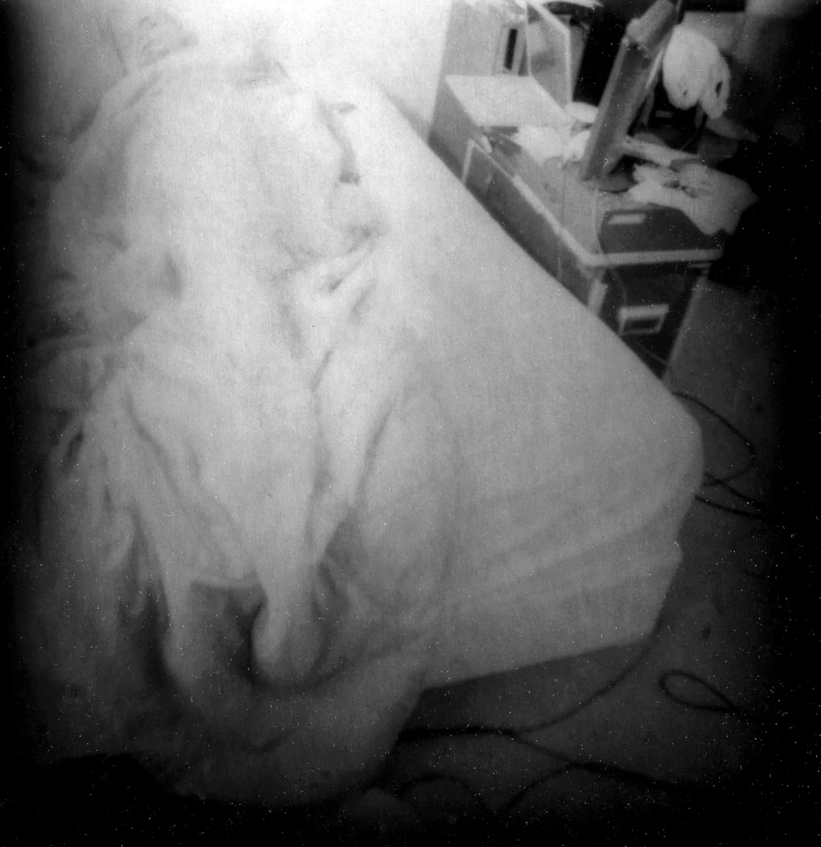 sleep3.jpg (1 of 1).jpg