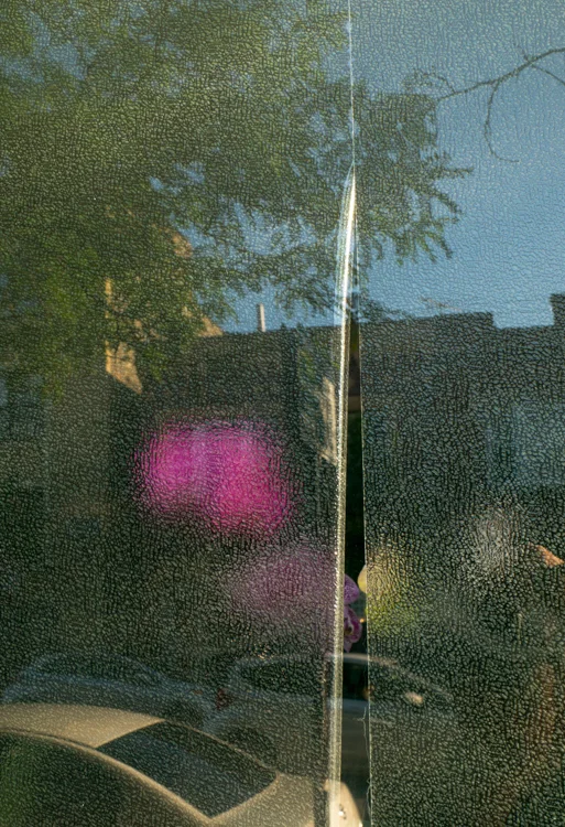 frosted_window.jpg (1 of 1).jpg