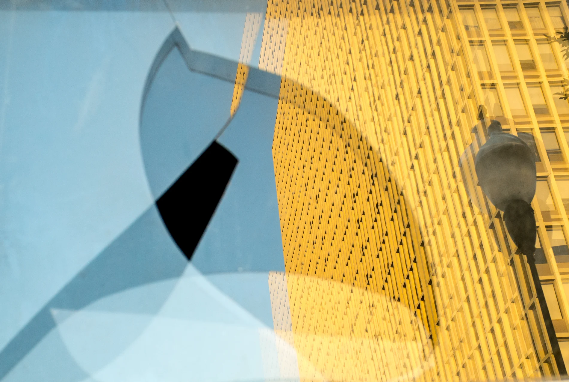 broken_window.jpg (1 of 1).jpg