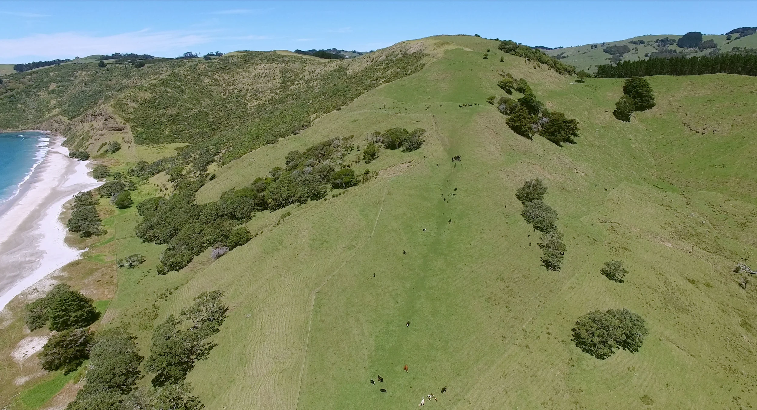Kiri's Pa at Pakiri Regional Park