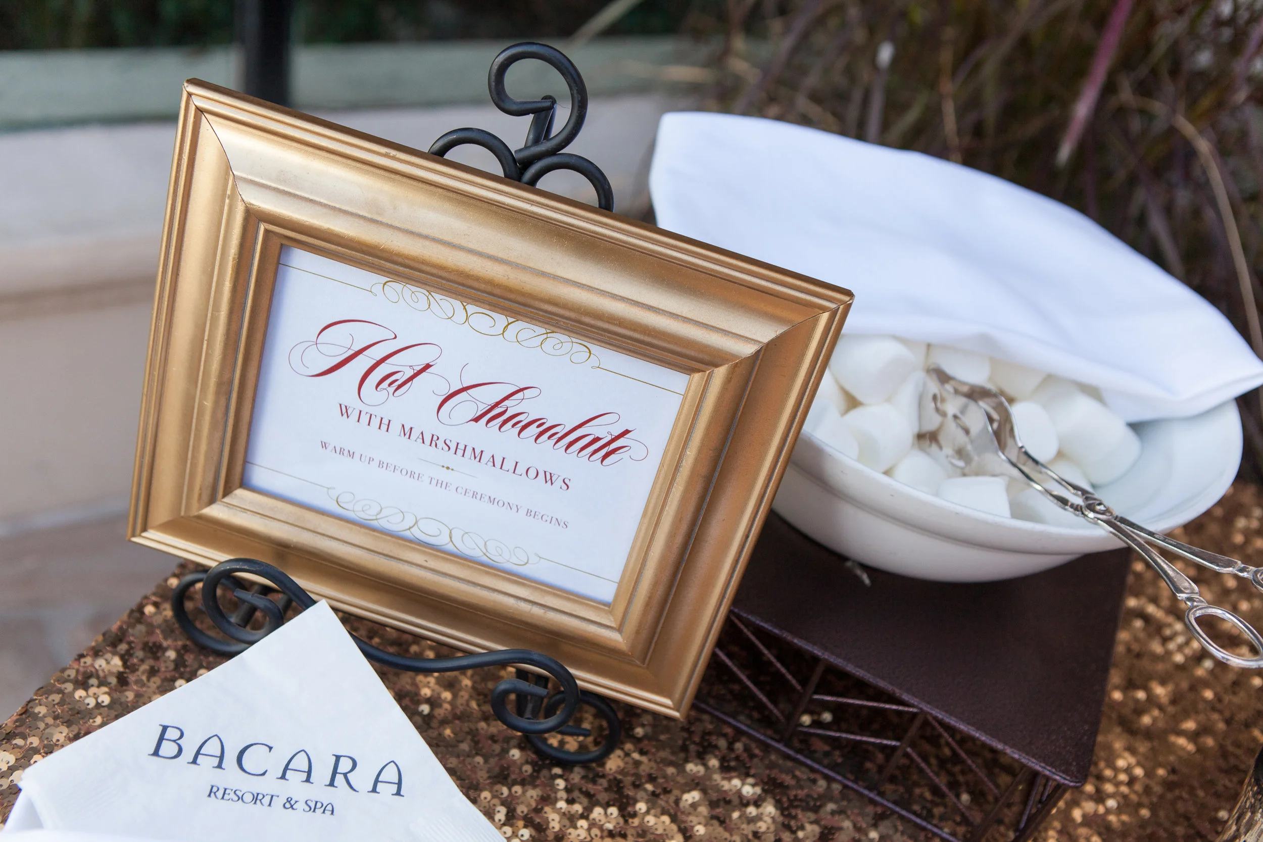 photo credit Melissa Musgrove Photography