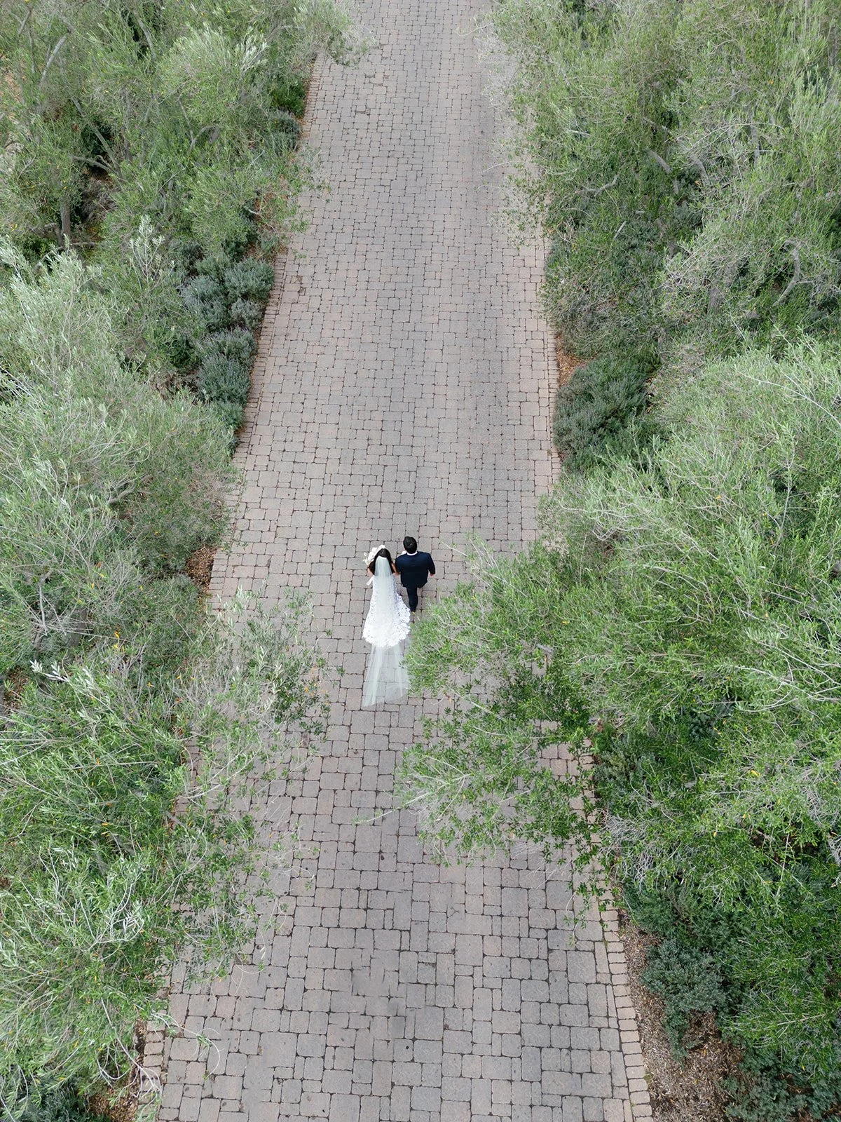 Liz&Josh550.jpg