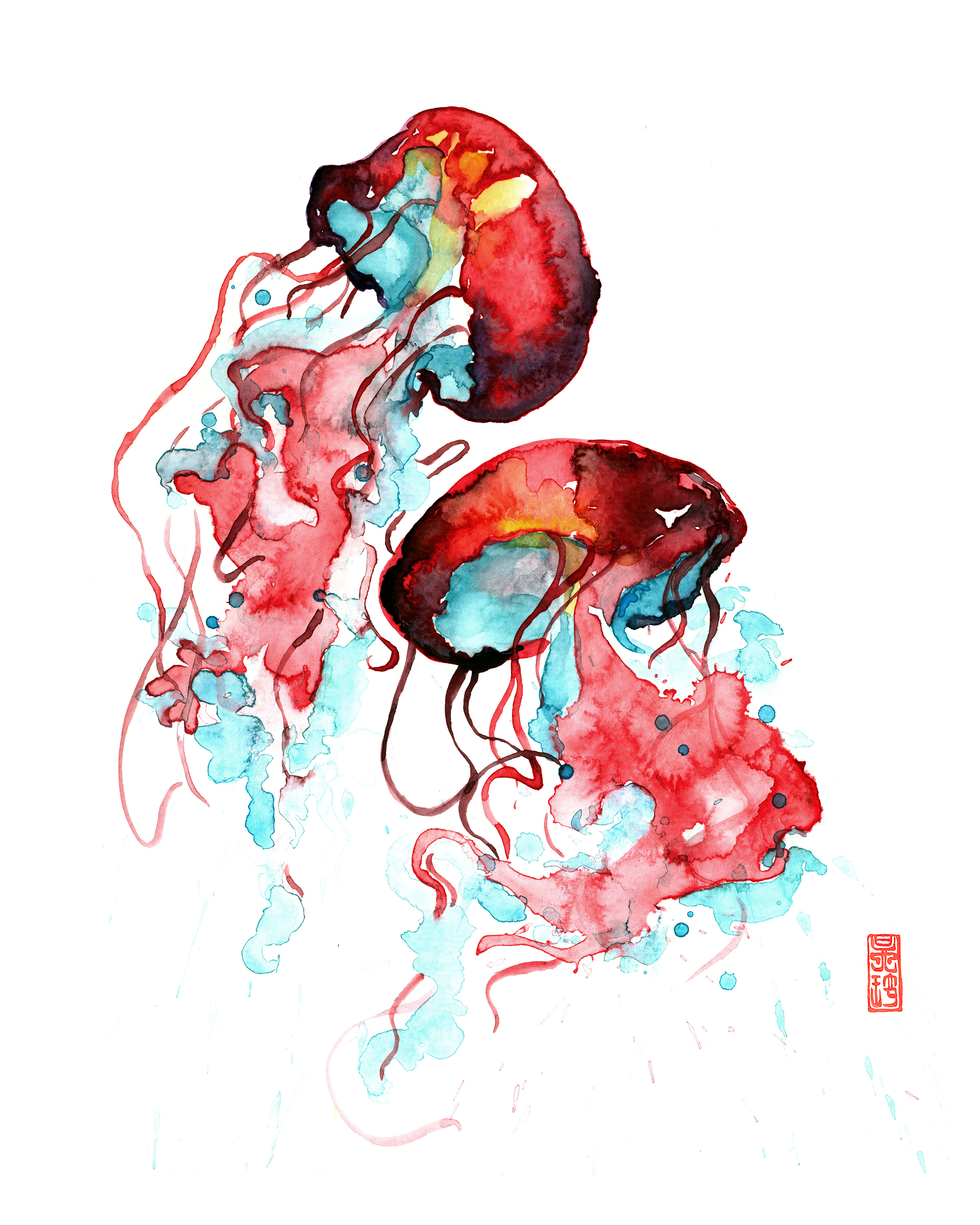Jellyfish
