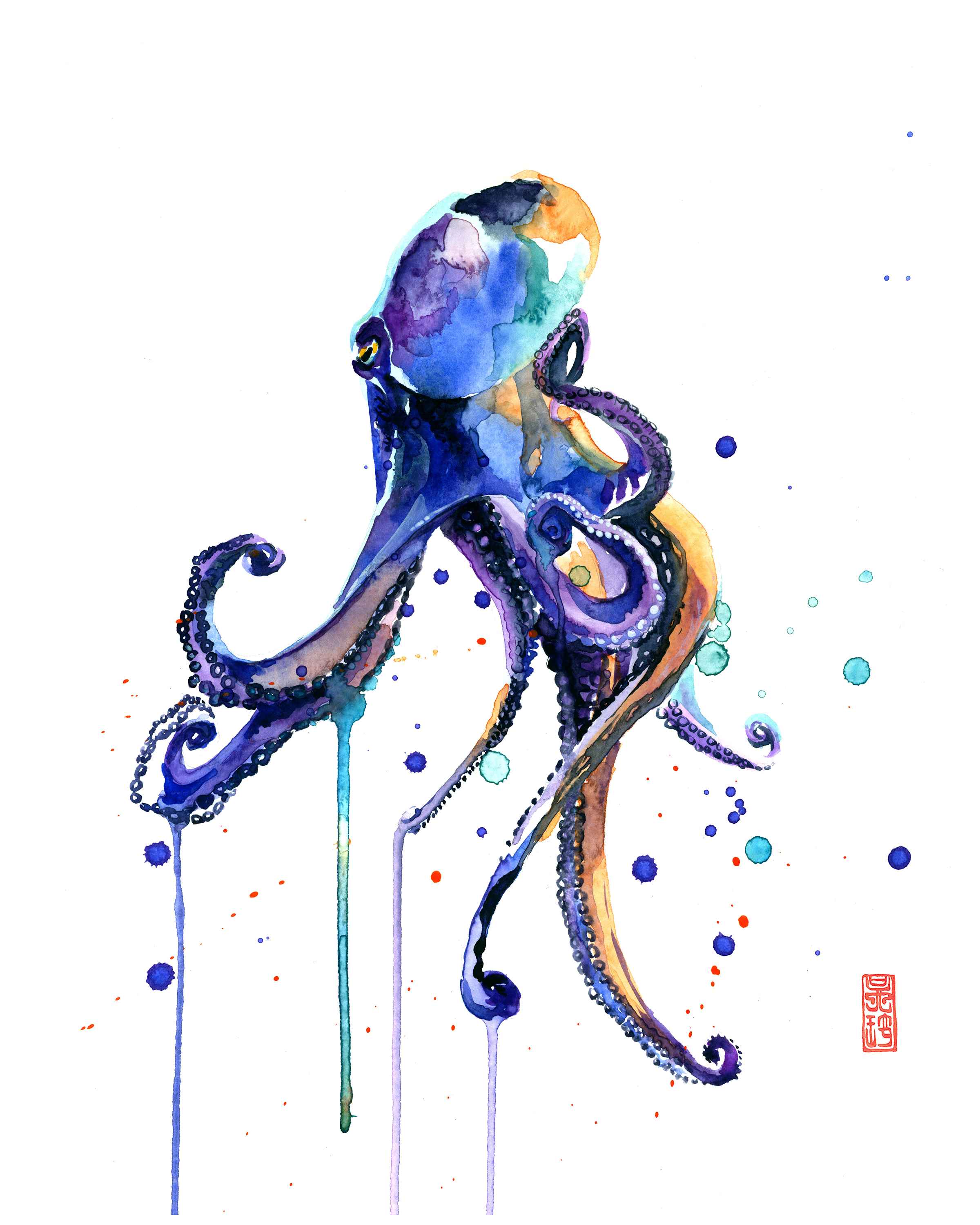 Octopus
