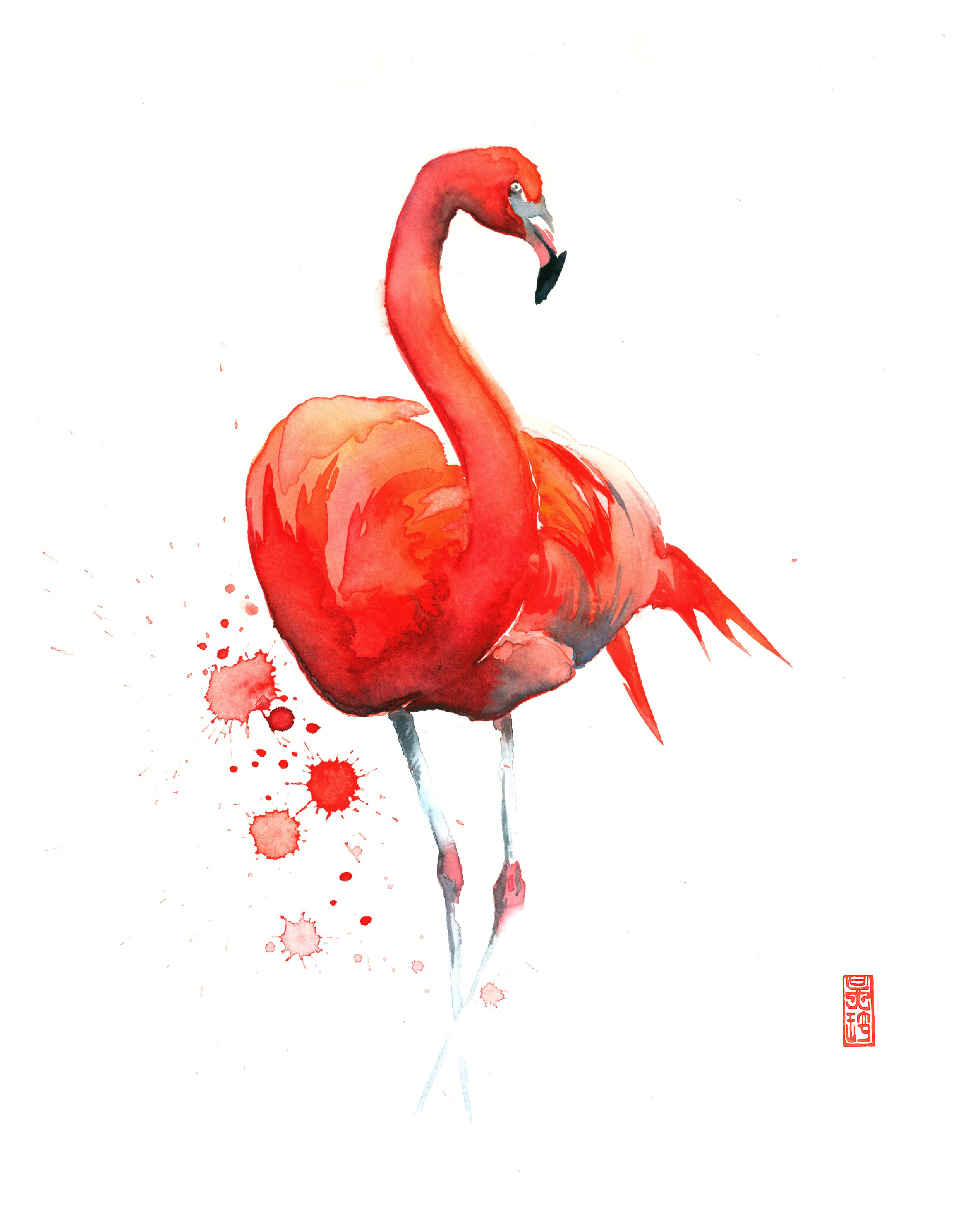 Flamingo