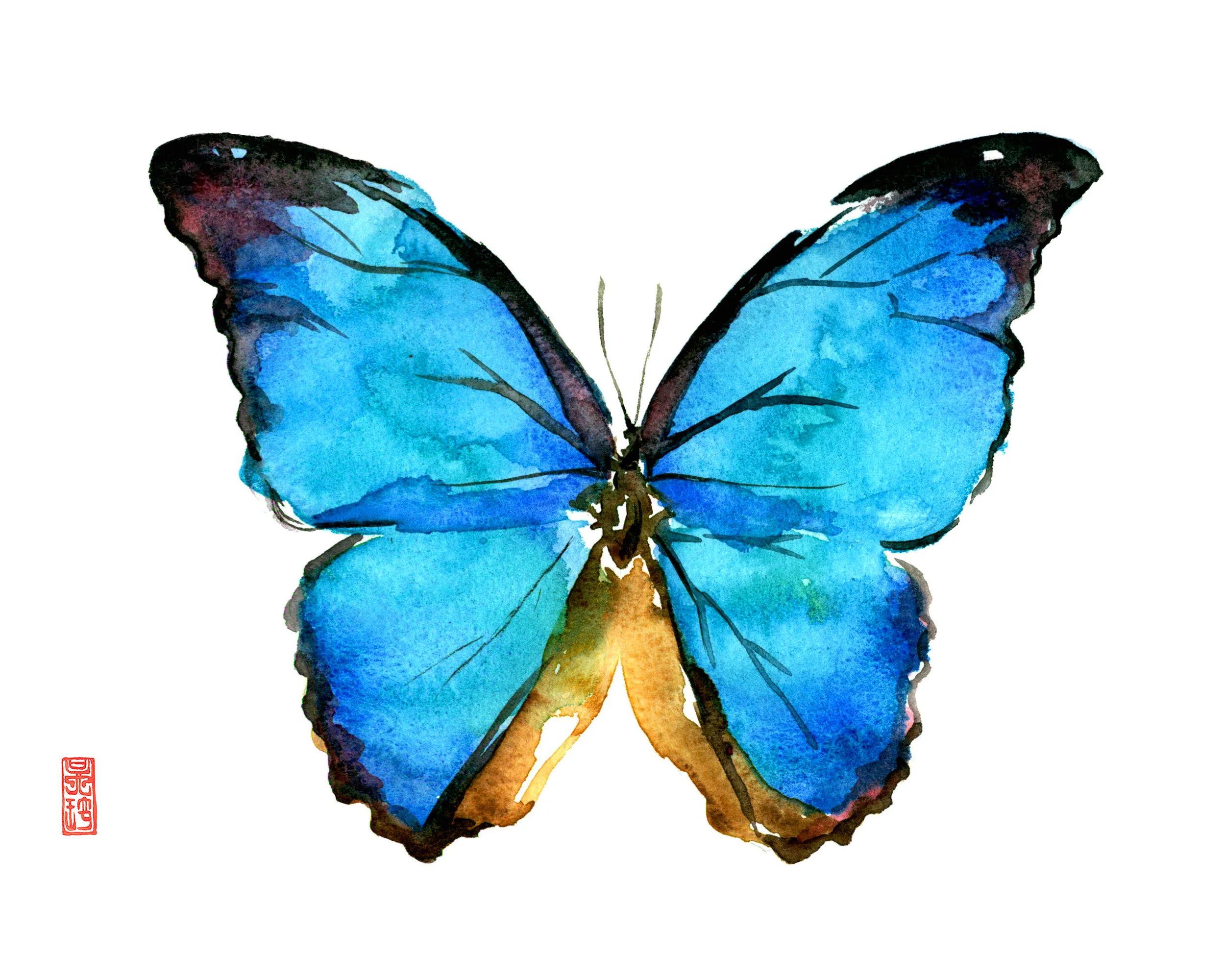 Butterfly