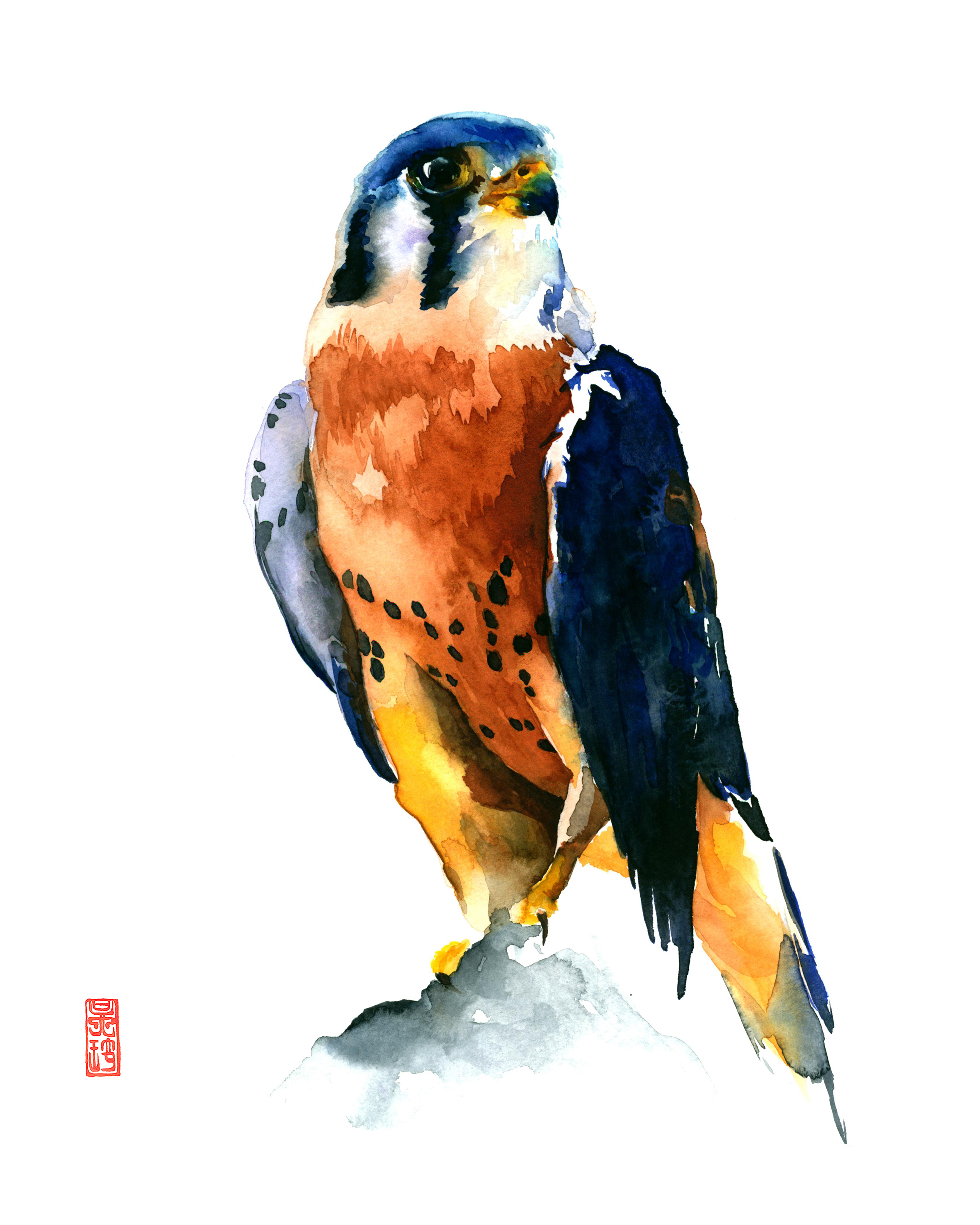 Kestrel