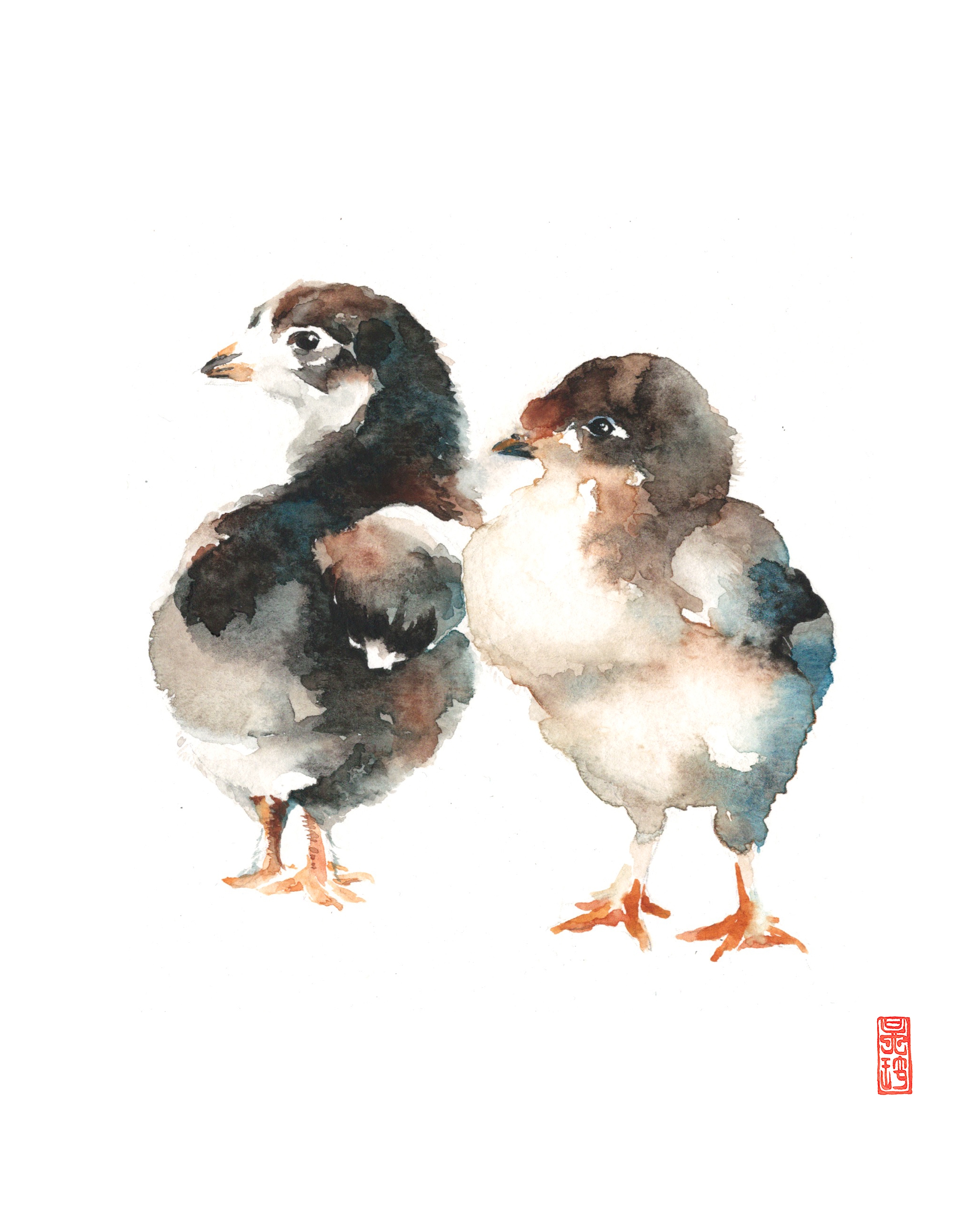 Baby Chicks