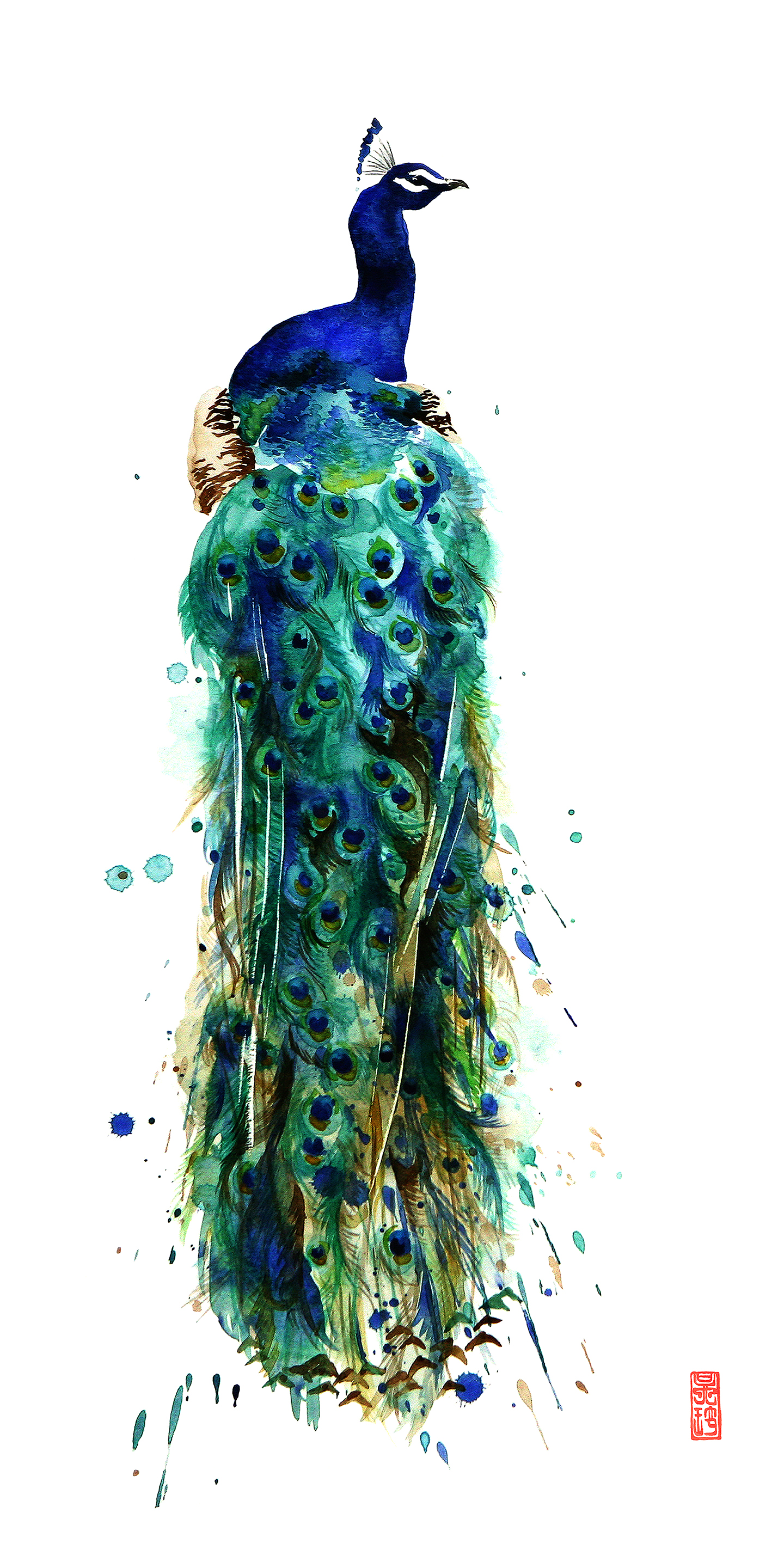 Peacock I