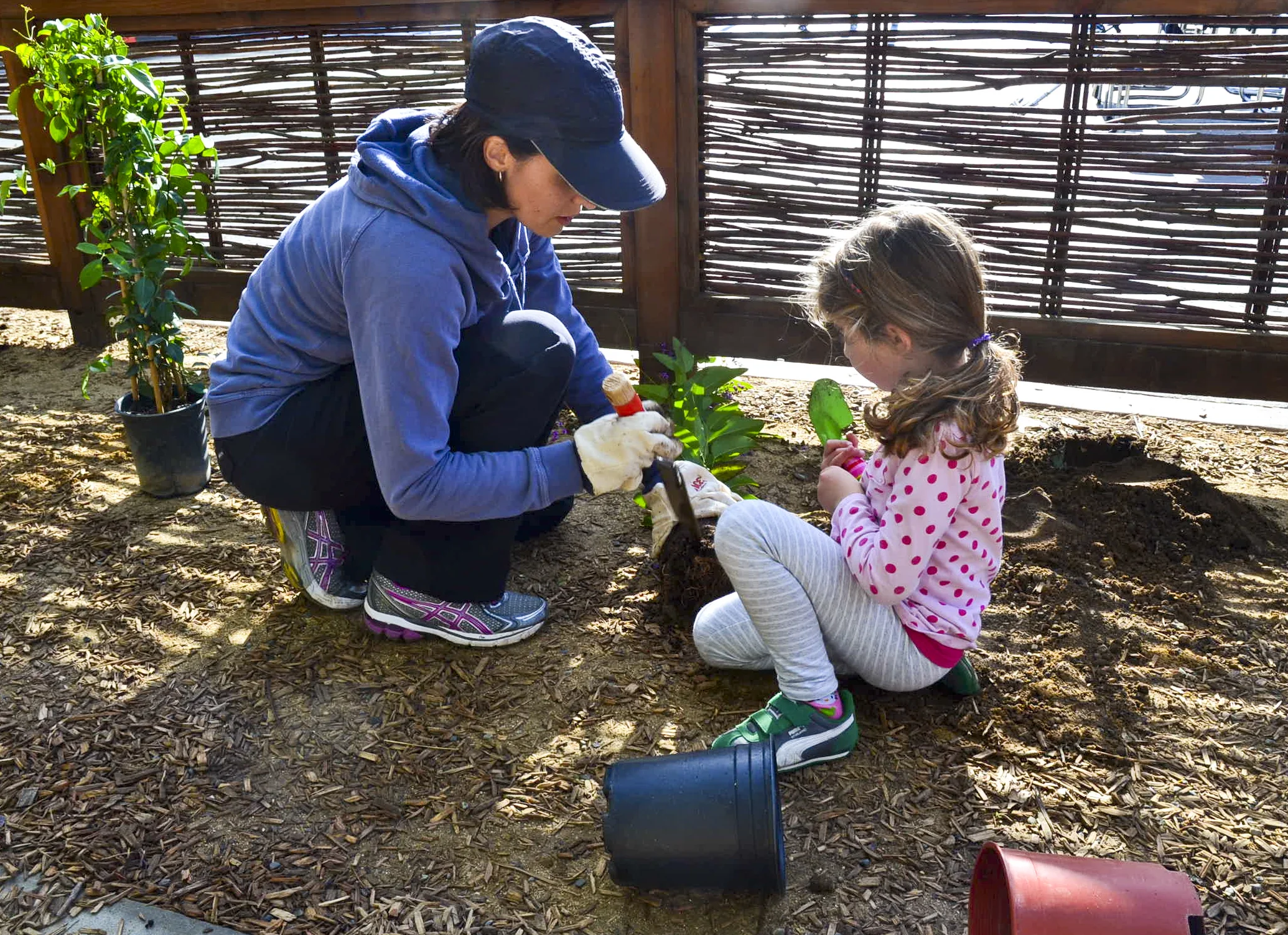 SFUSD GREEN SCHOOL YARD PROGRAM