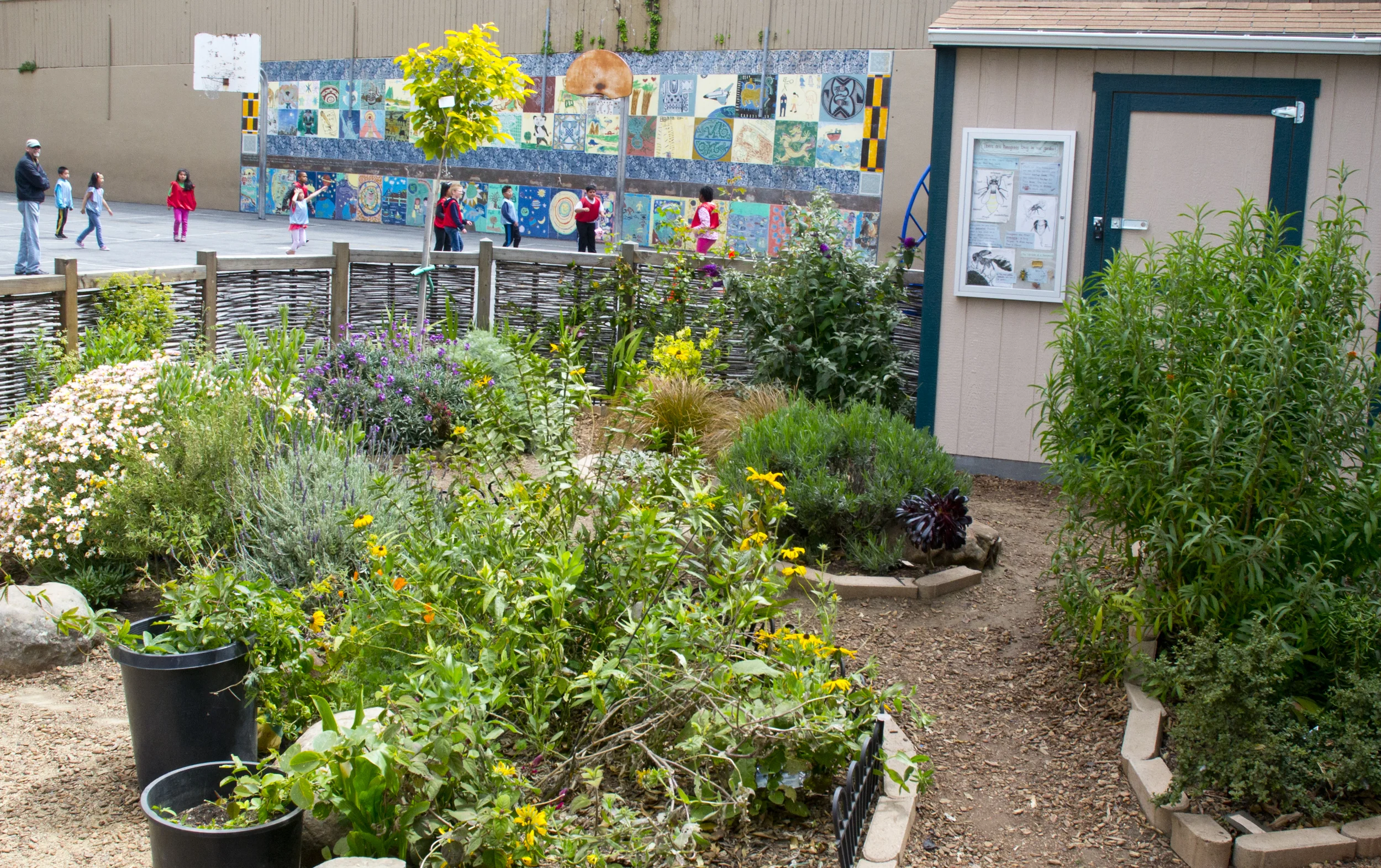 Spring Valley South4.jpg