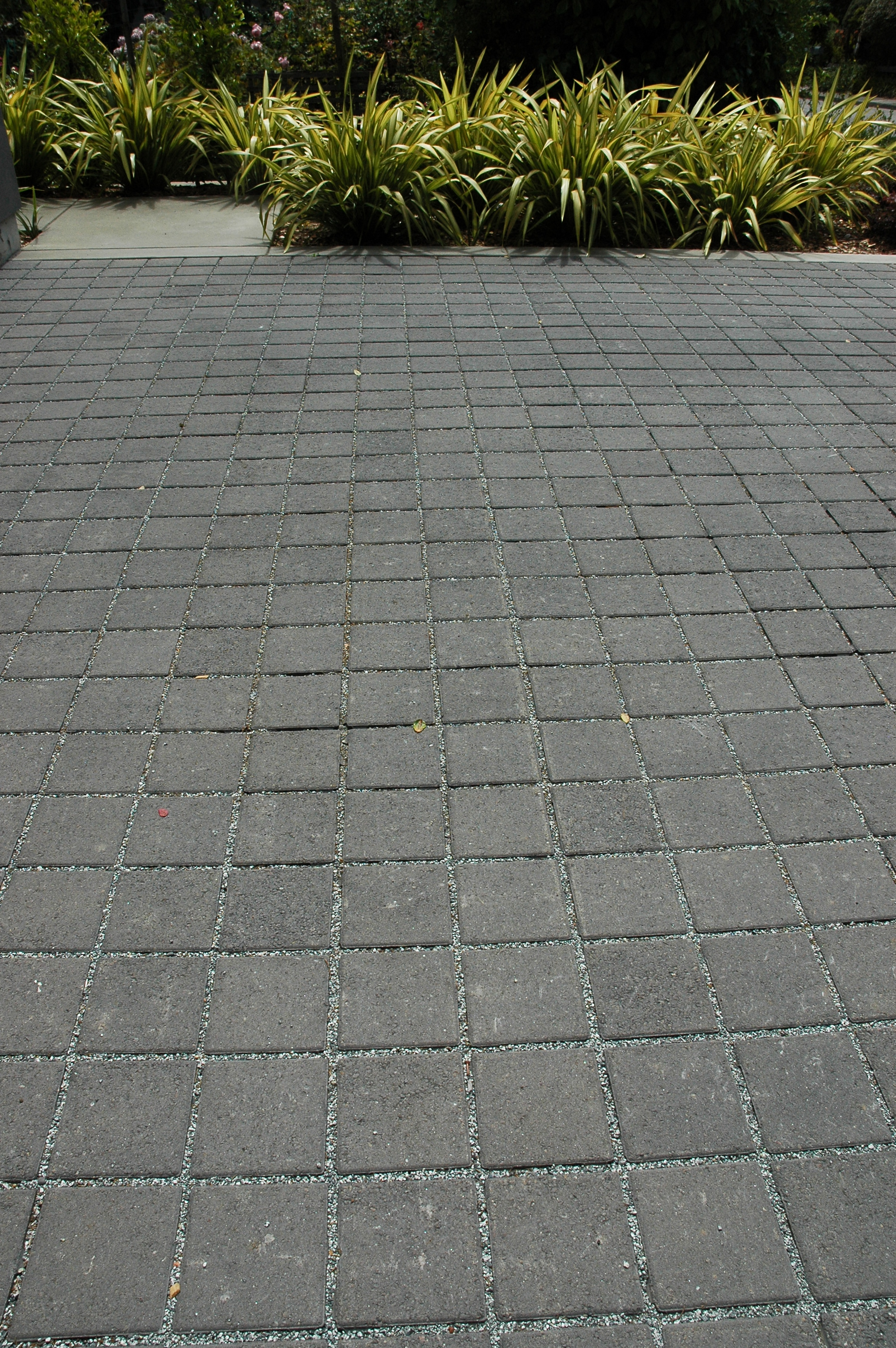 permeable paving4.JPG