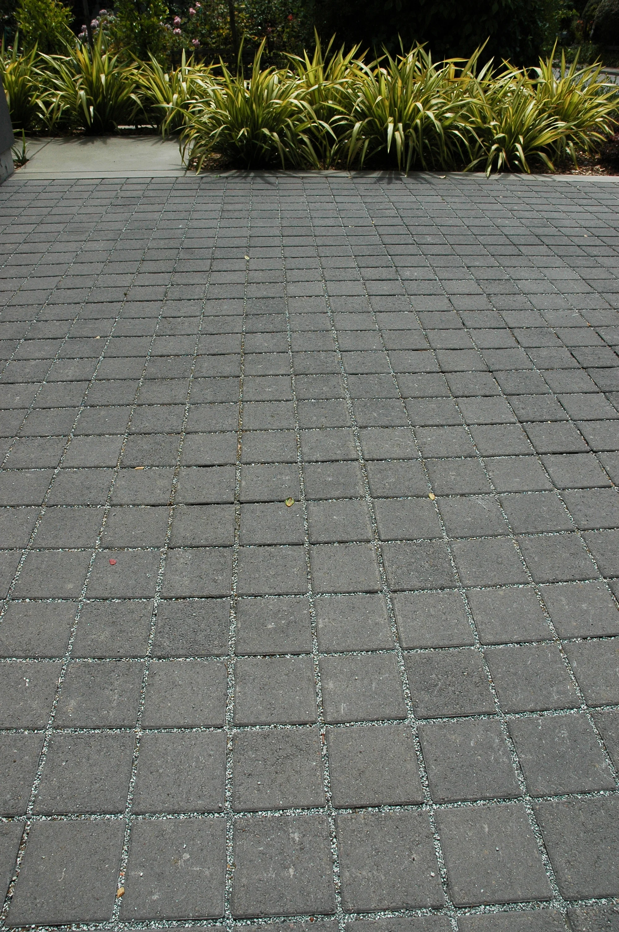 permeable paving4.JPG
