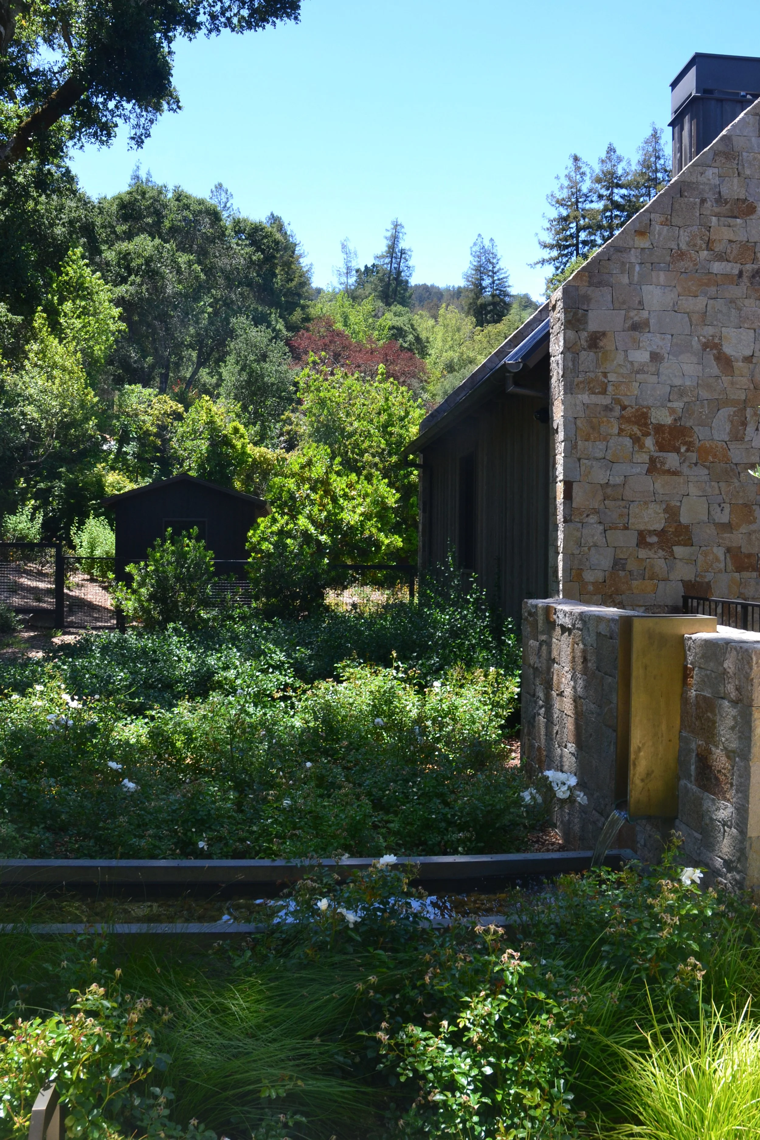 DSC_0527.JPG