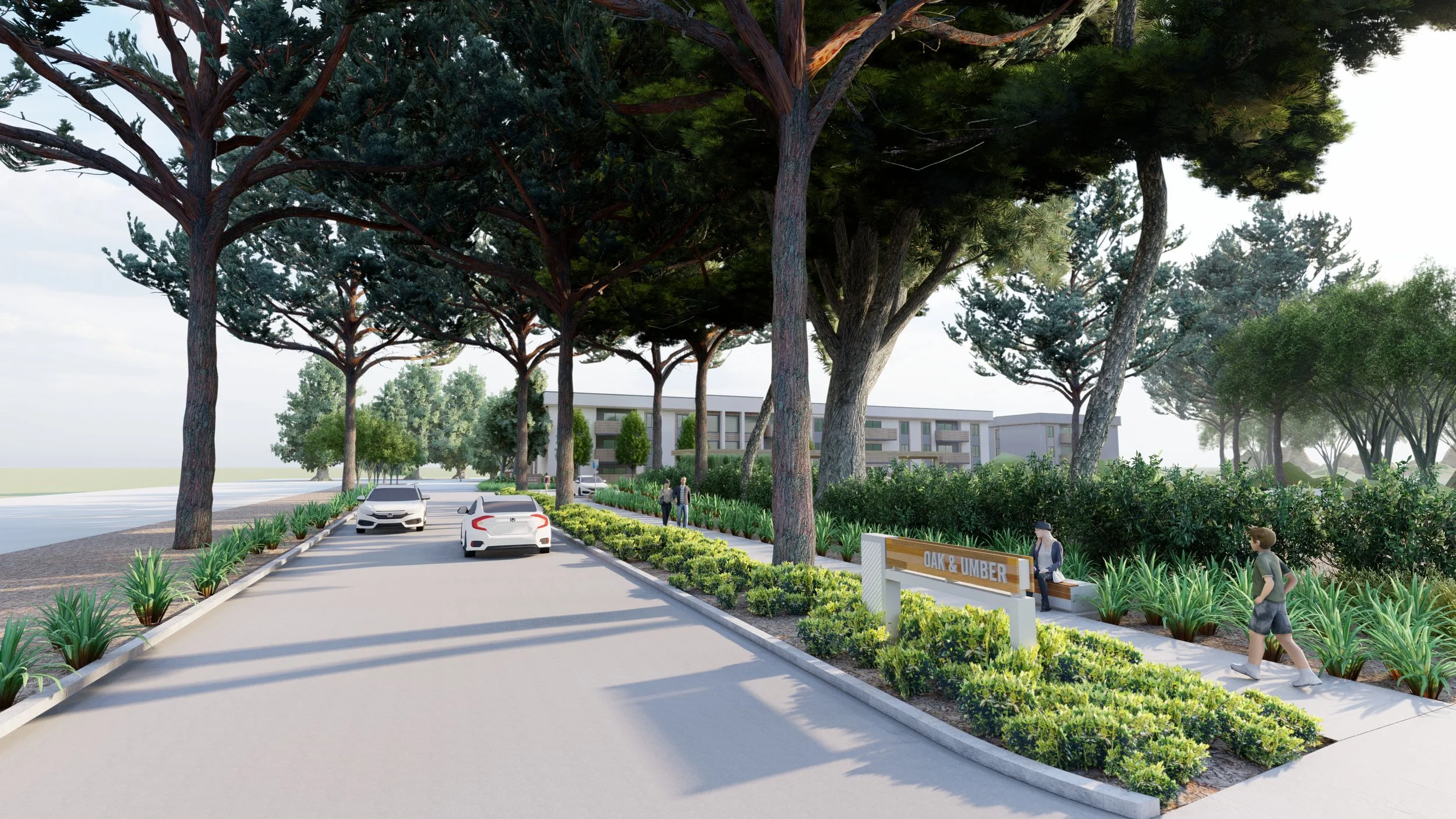 Scene 1- Driveway Entry.jpg