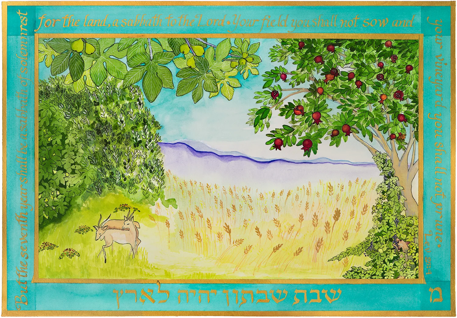 A Sabbath for the Land