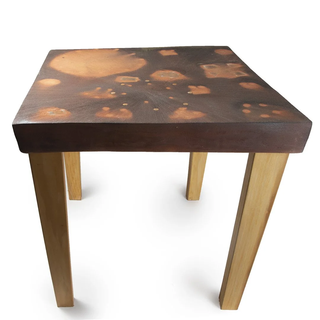 Simon Levin table_3_c.jpg