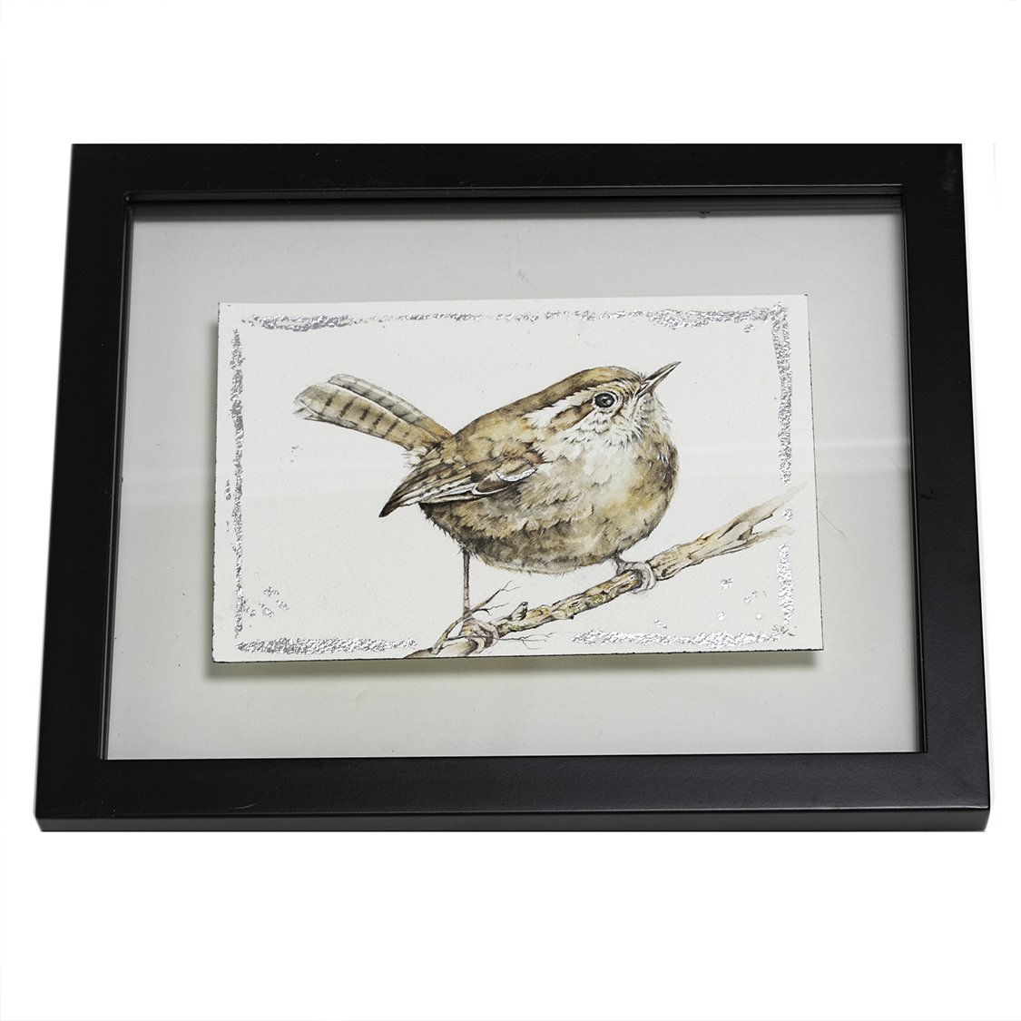 Wren_frame2_sm.jpg