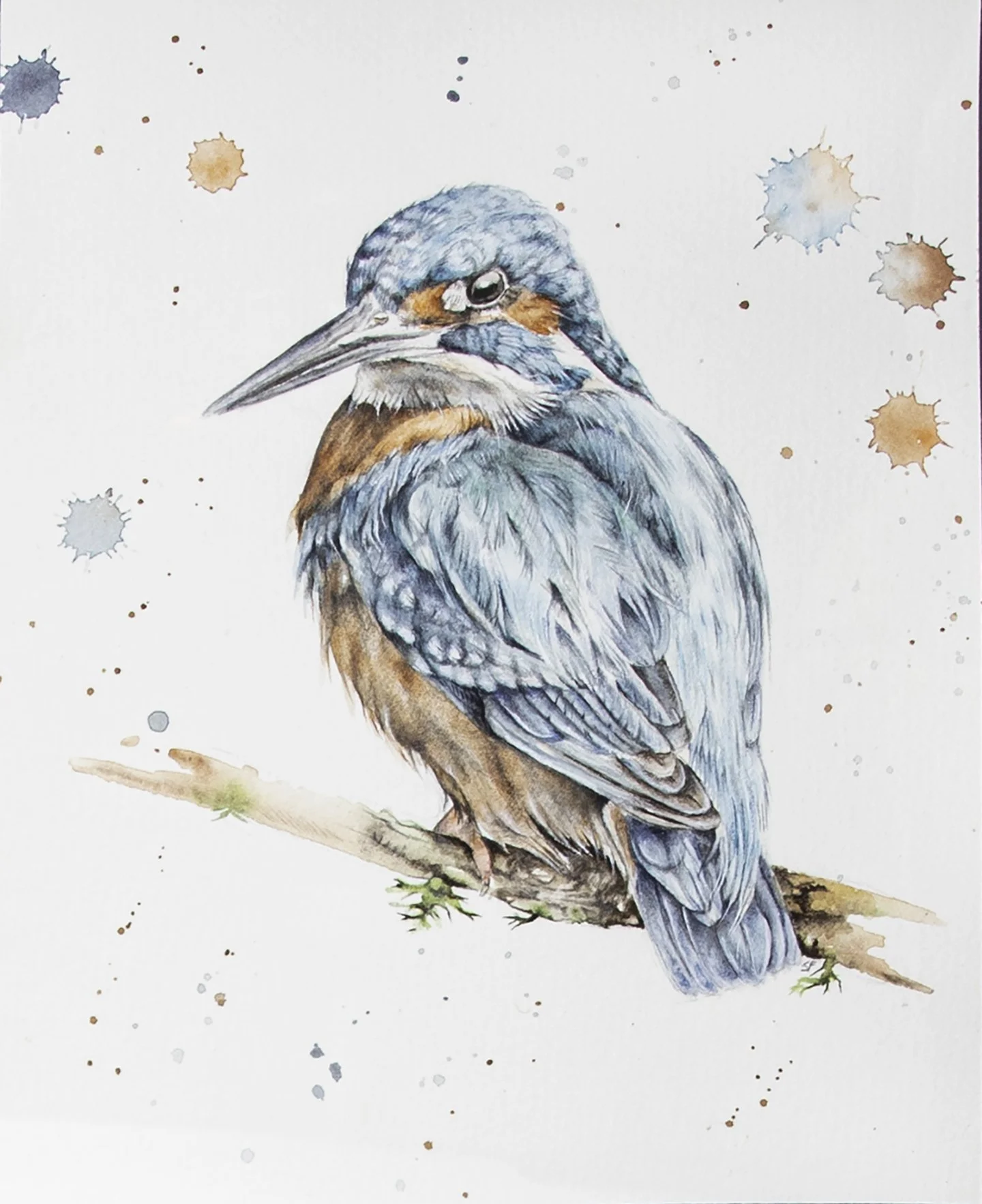 Kingfisher_sm.jpg