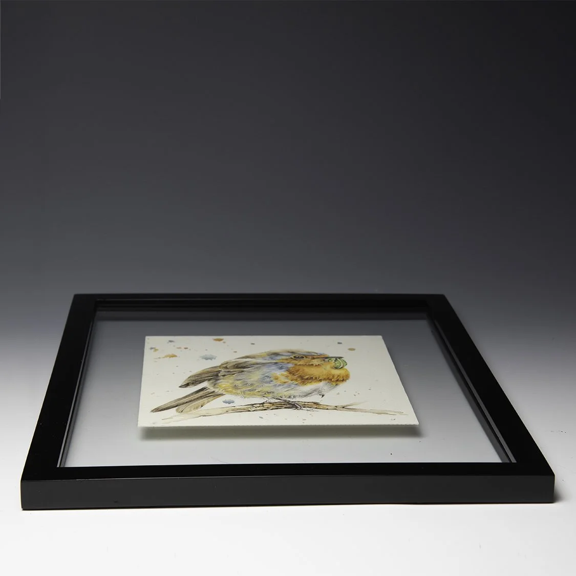 Silvia Ferrari-Palmer-frame.jpg