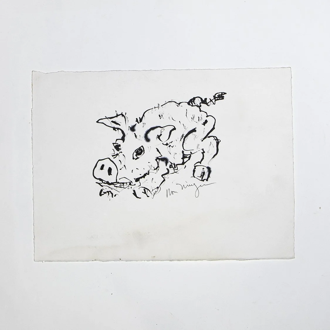 romeD-20.jpg