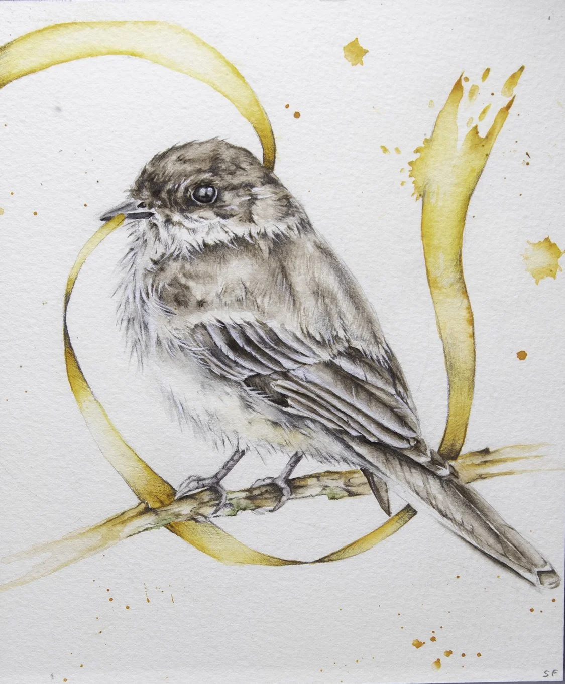 Silvia Ferrari-Palmer-Phoebe_sm.jpg