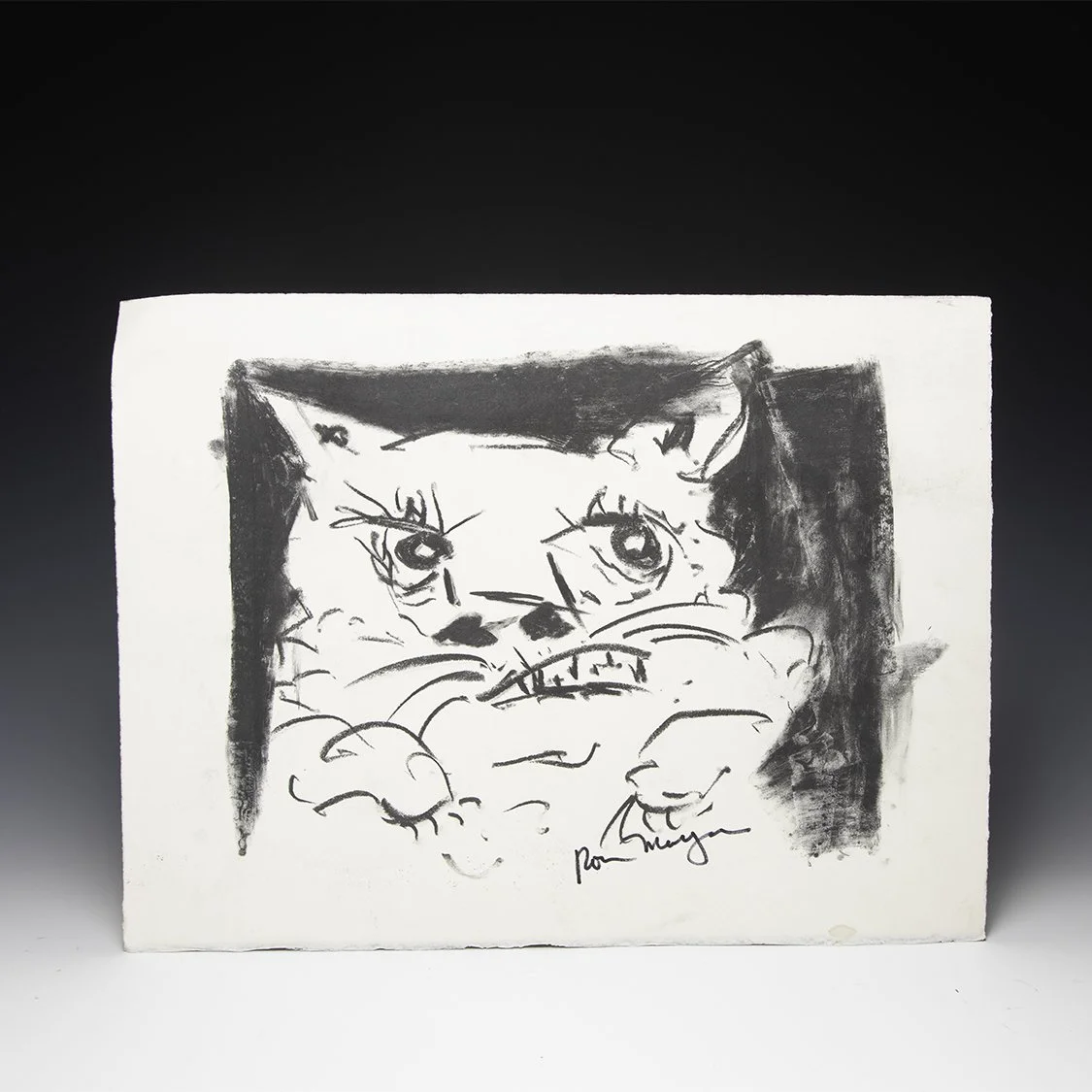 Ron Meyers Drawings - 33.jpg