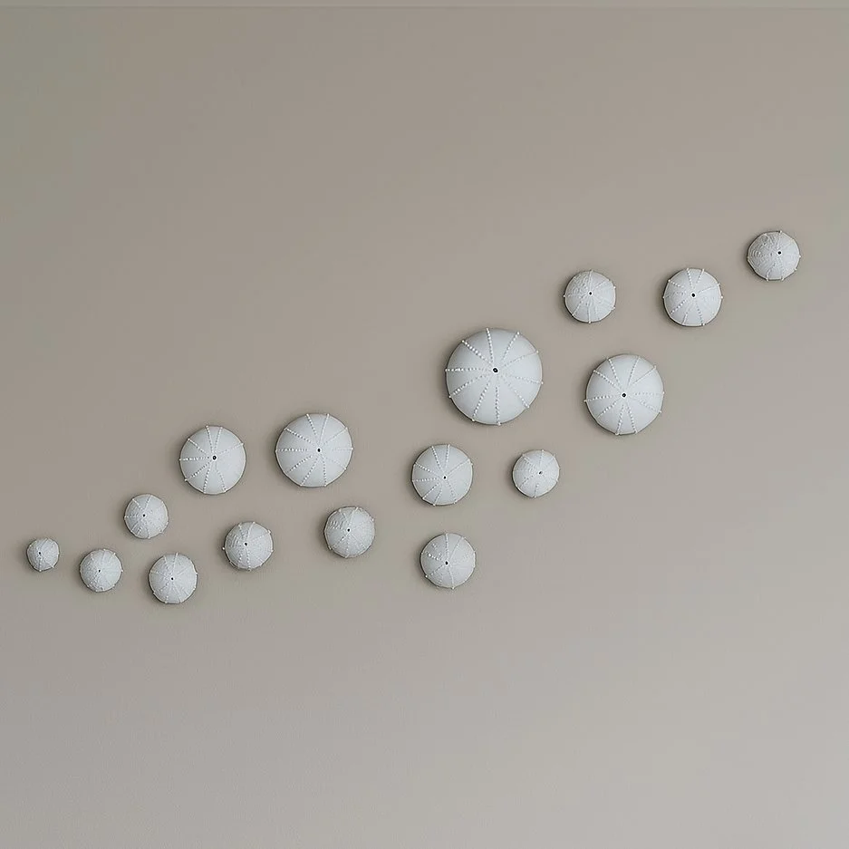 Anja Bartels wall_2.jpg