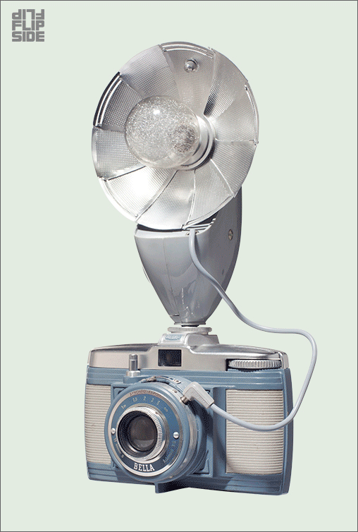 camera_flash_508.gif
