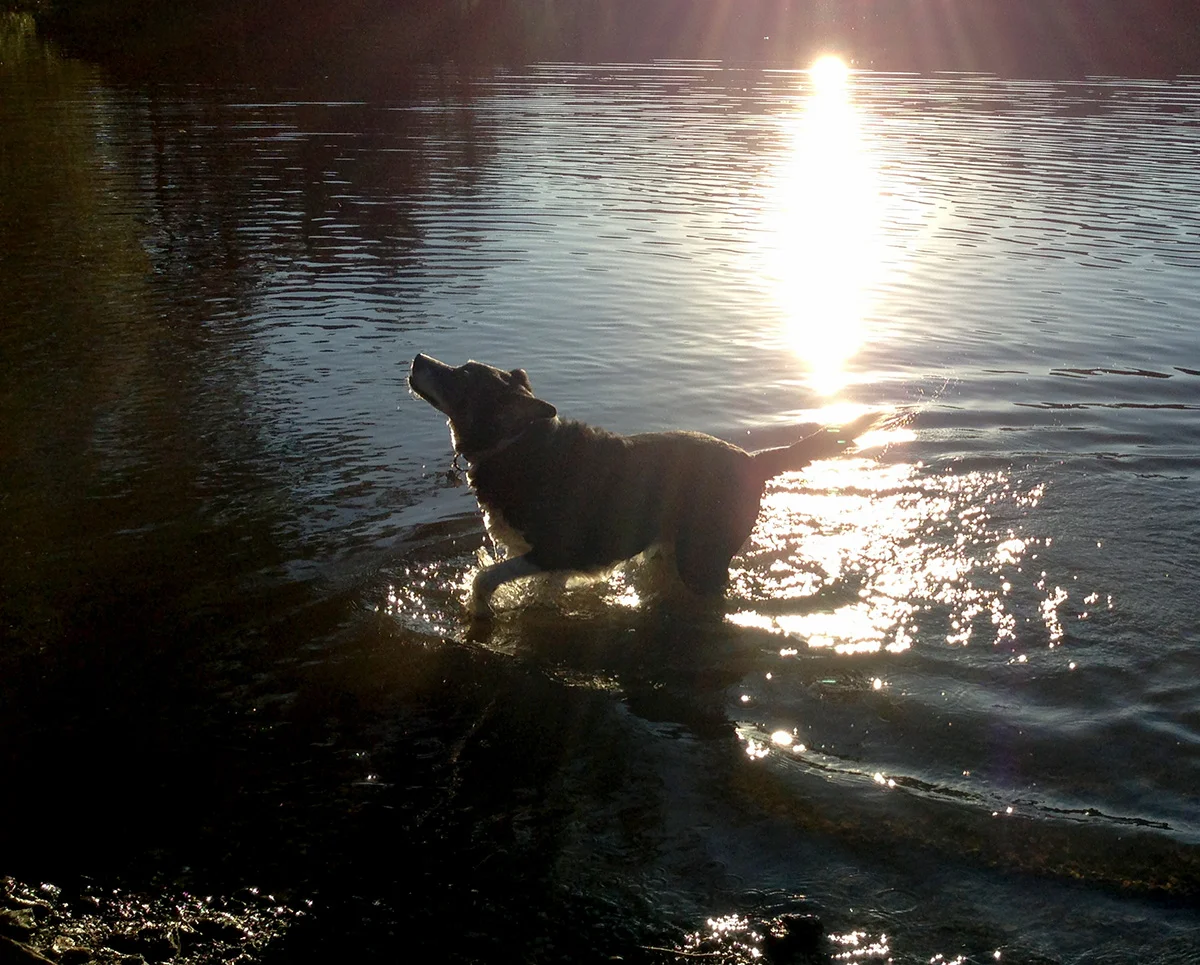 boo_bontempe_splash_1200.jpg