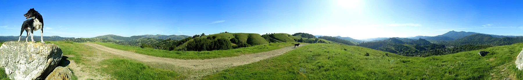 boo_pano_1500.jpg