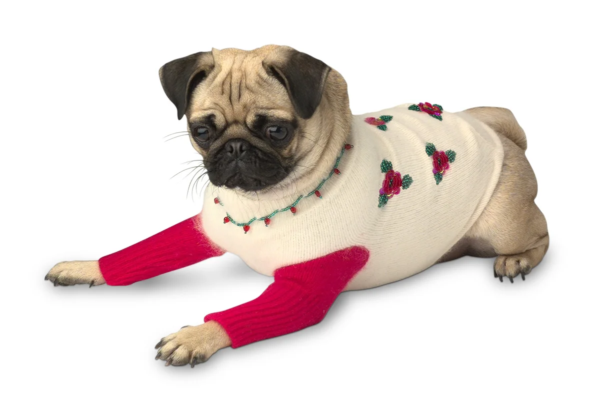 pet_sweater_1200.jpg