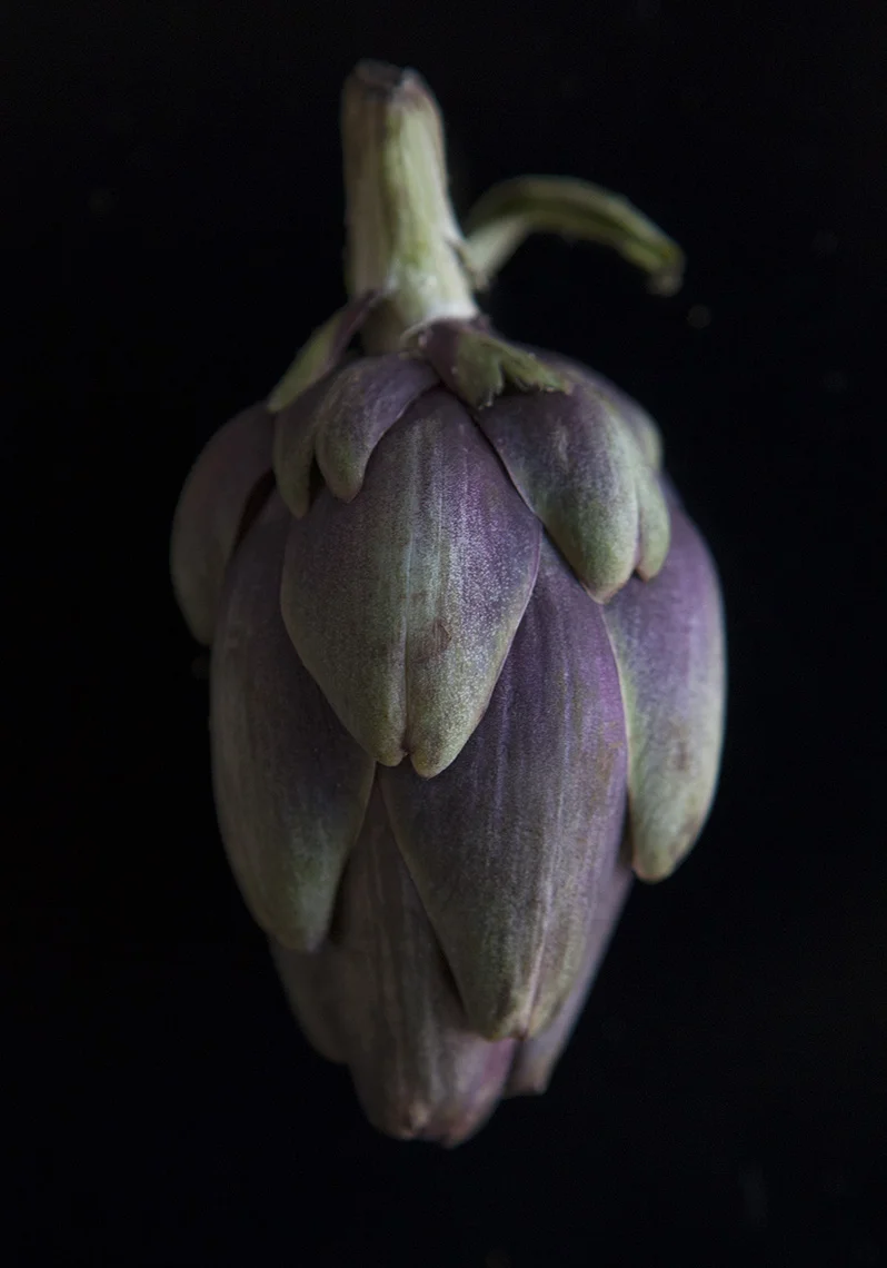 artichoke_1140.jpg