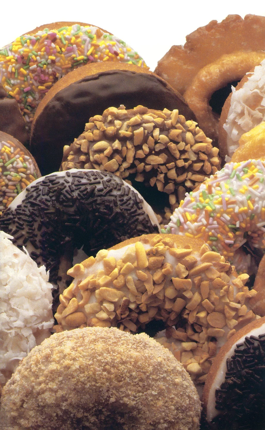 Doughnuts_only.jpg