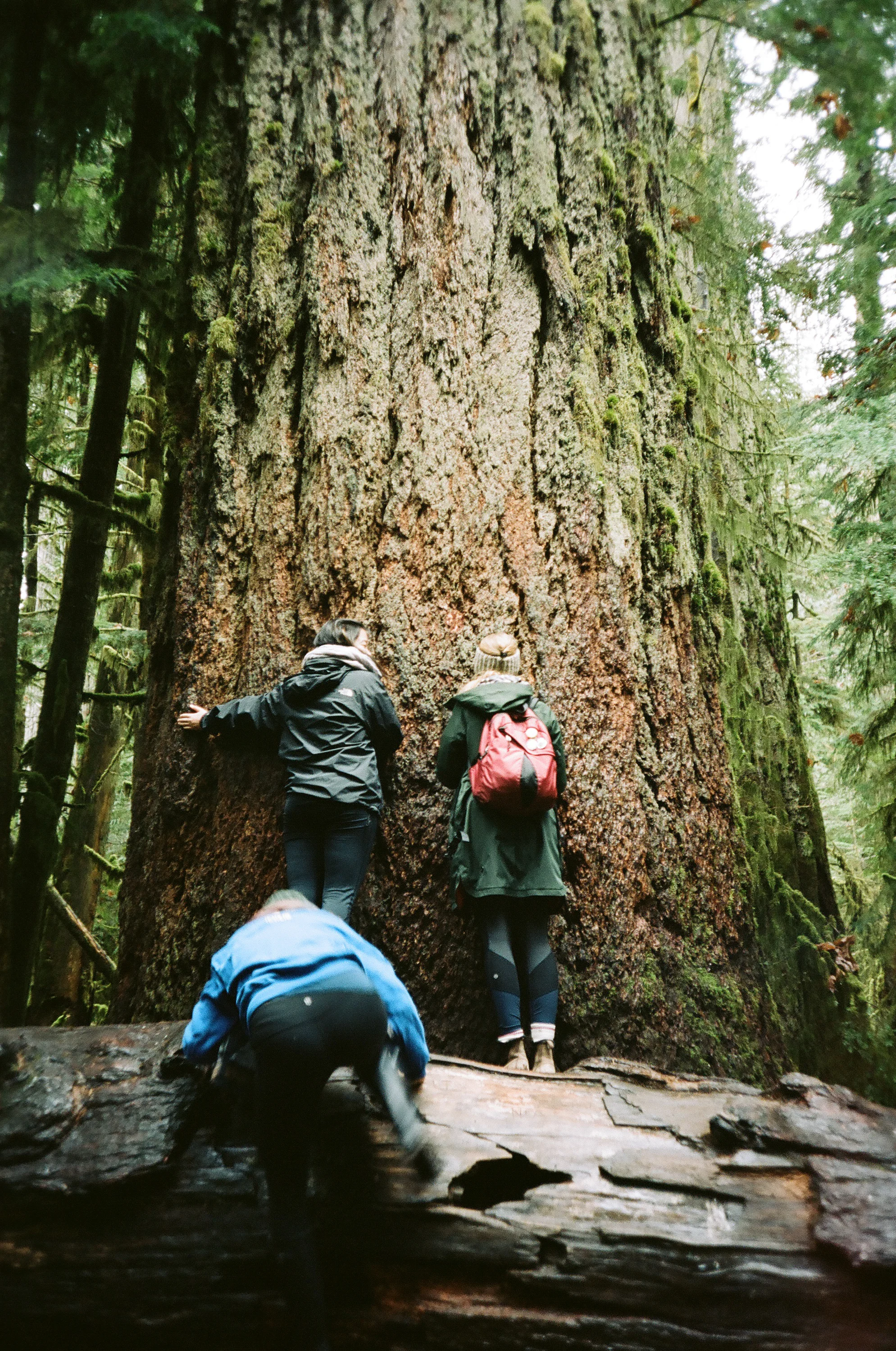 20151123_Tofino_148.jpg