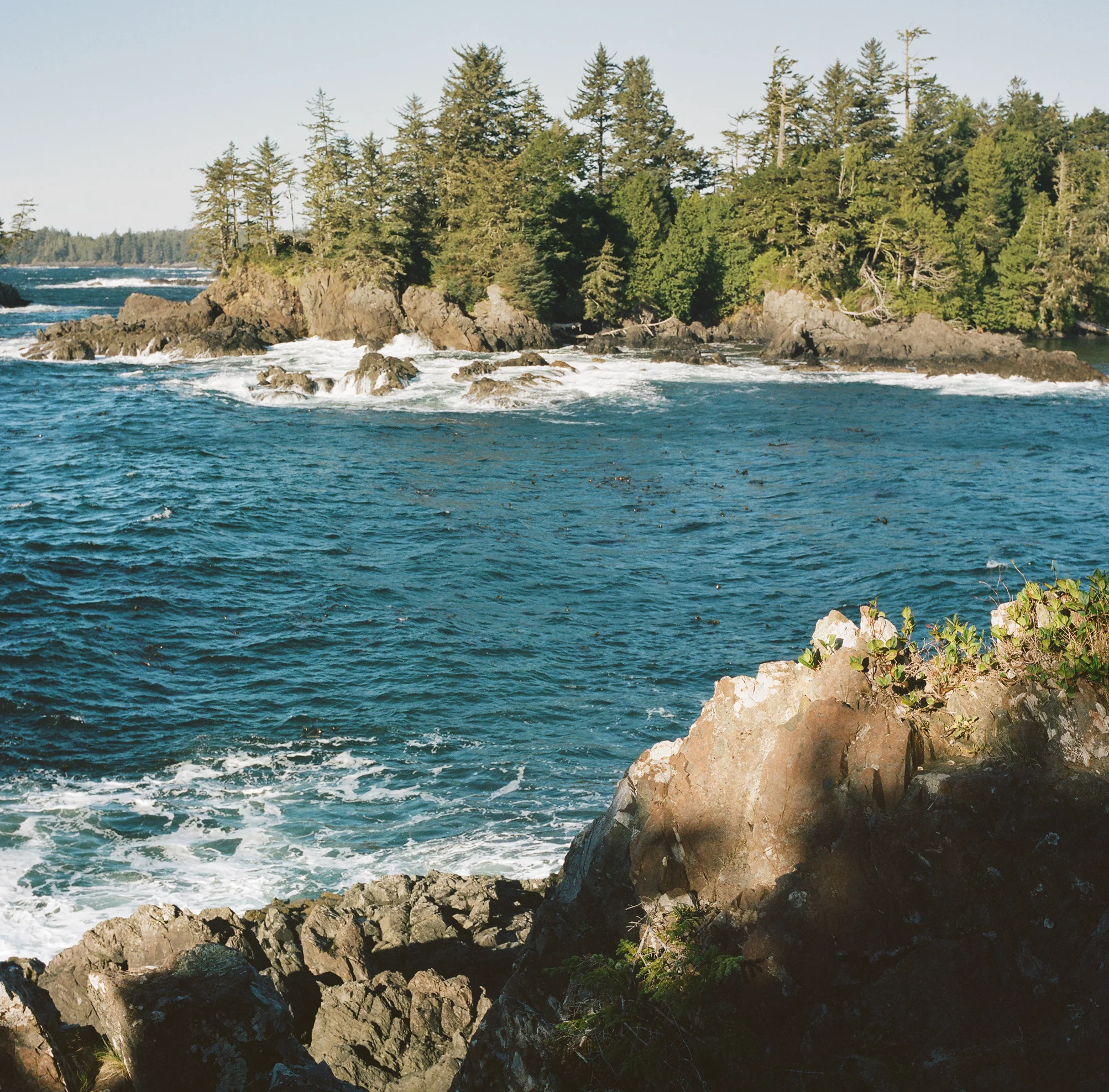 20151208_Tofino_176.jpg
