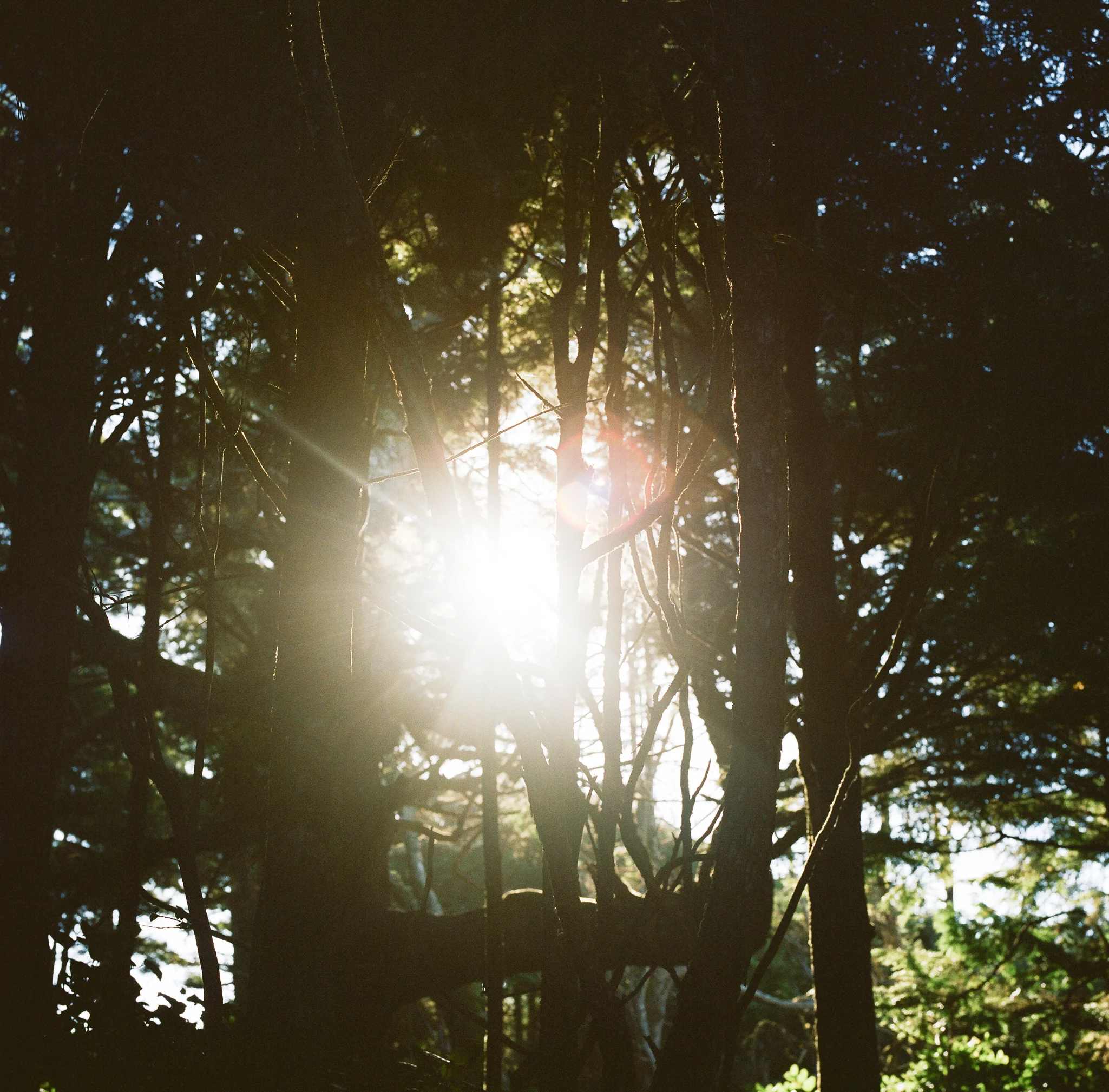 20151208_Tofino_177.jpg