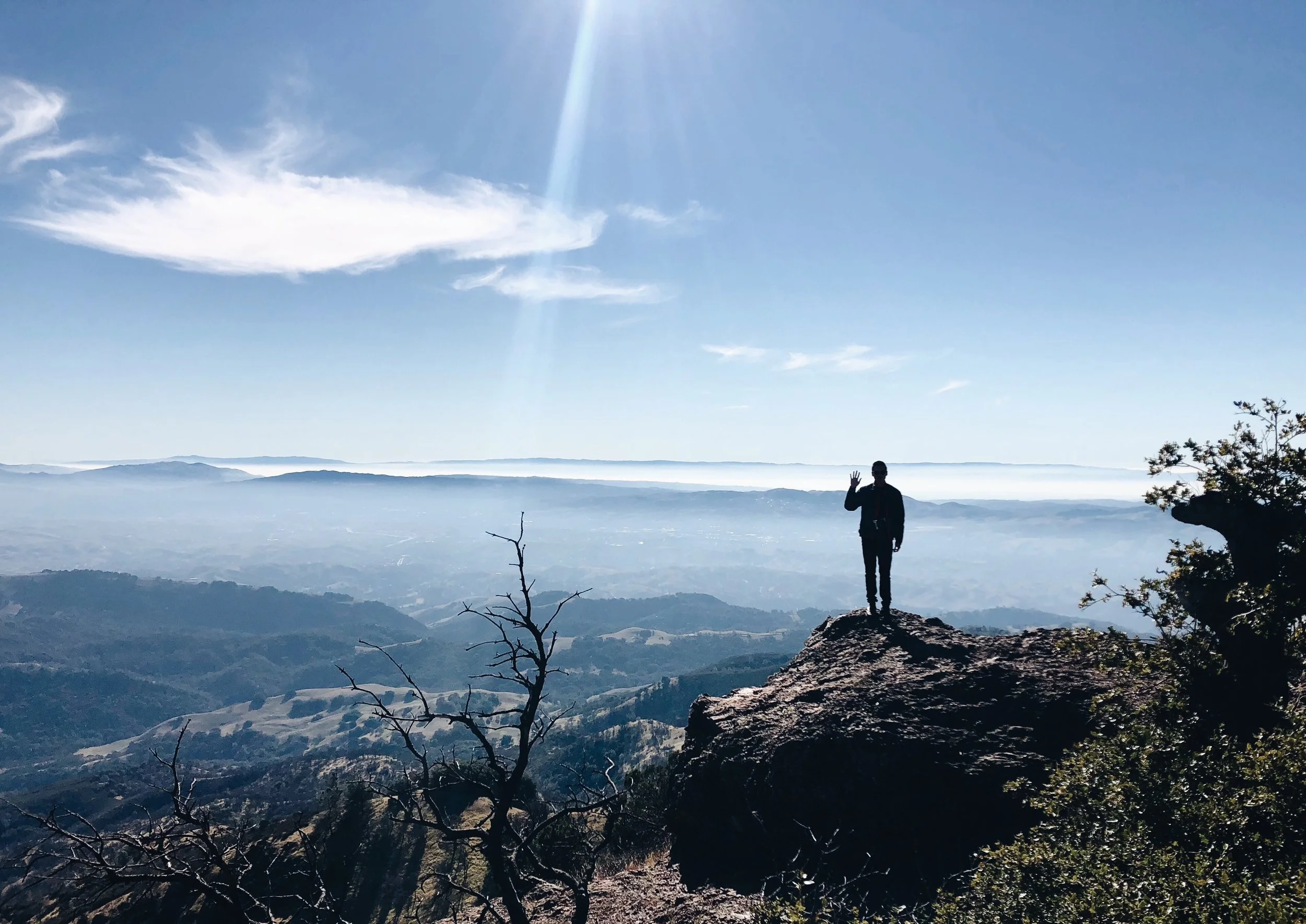 Behind the Scenes: The Year that was 2017