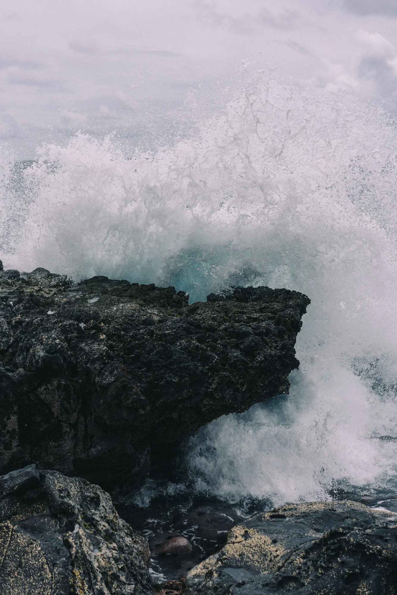 20190108_RapaNui_37.jpg