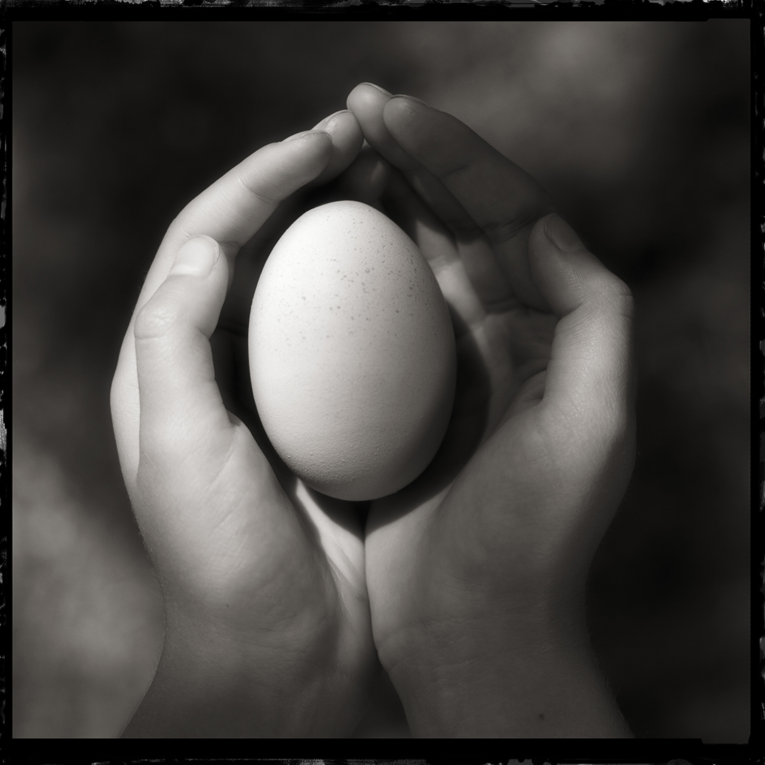 Egg in Hand