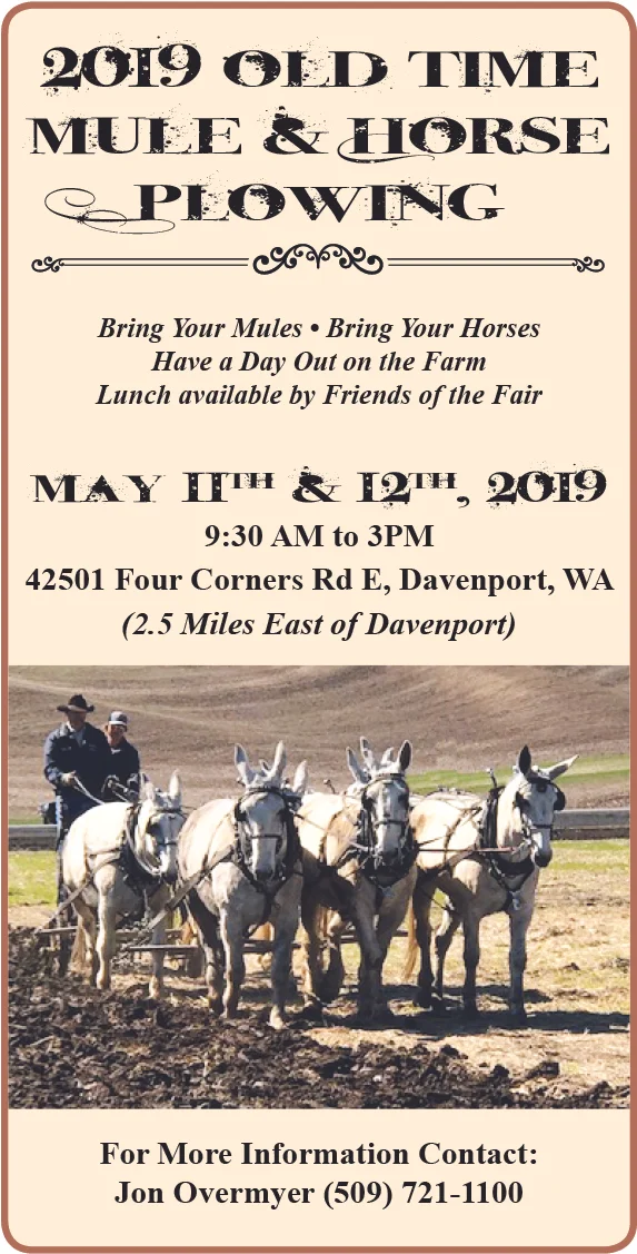 Old Time Mule and Horse Plowing