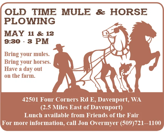 Old-Time Mule &amp; Horse Plowing
