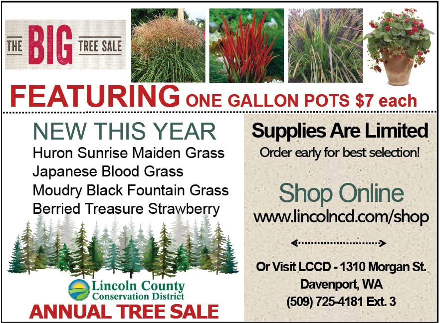 Lincoln County Conservation District Annual Tree sale